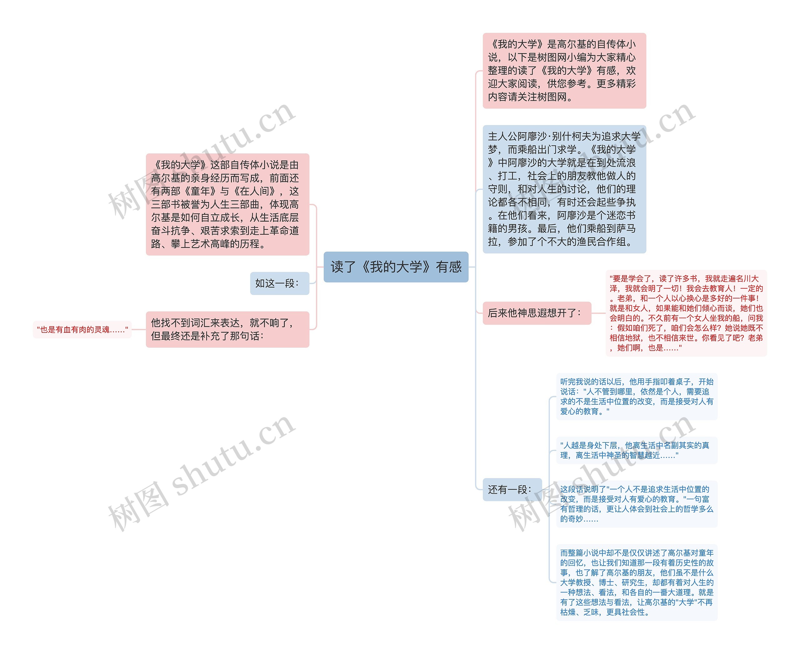 读了《我的大学》有感思维导图