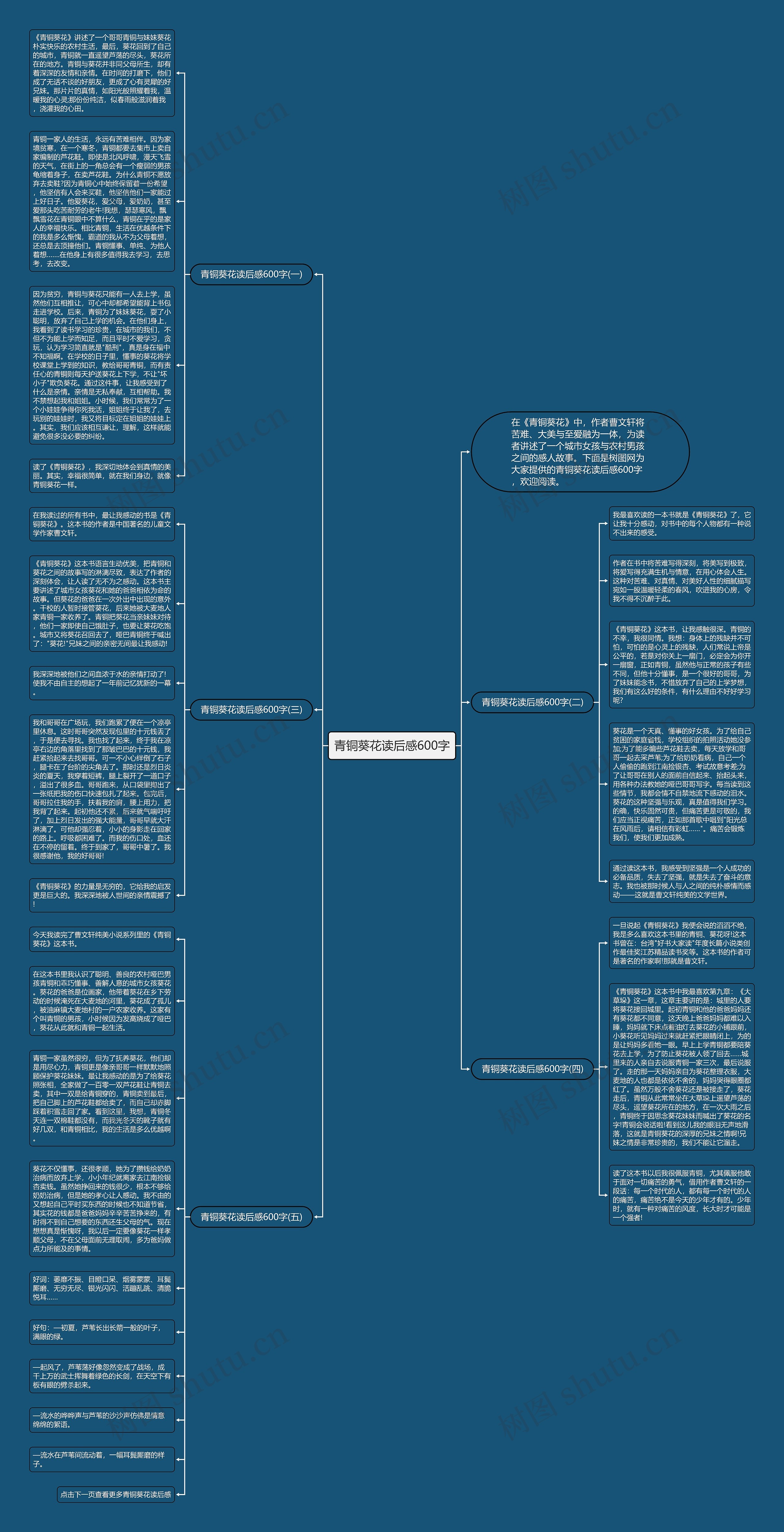 青铜葵花读后感600字思维导图