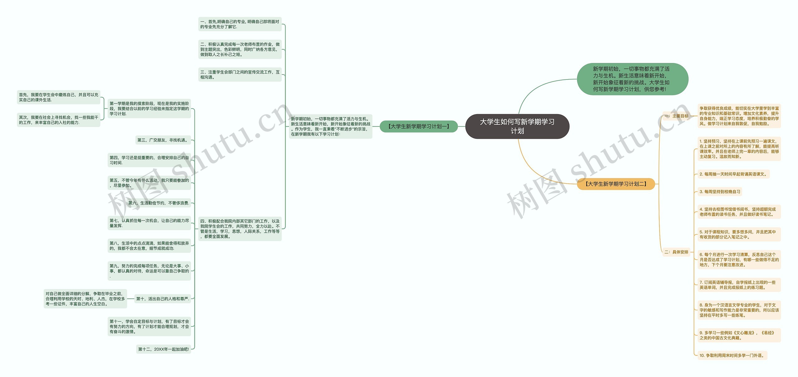 大学生如何写新学期学习计划