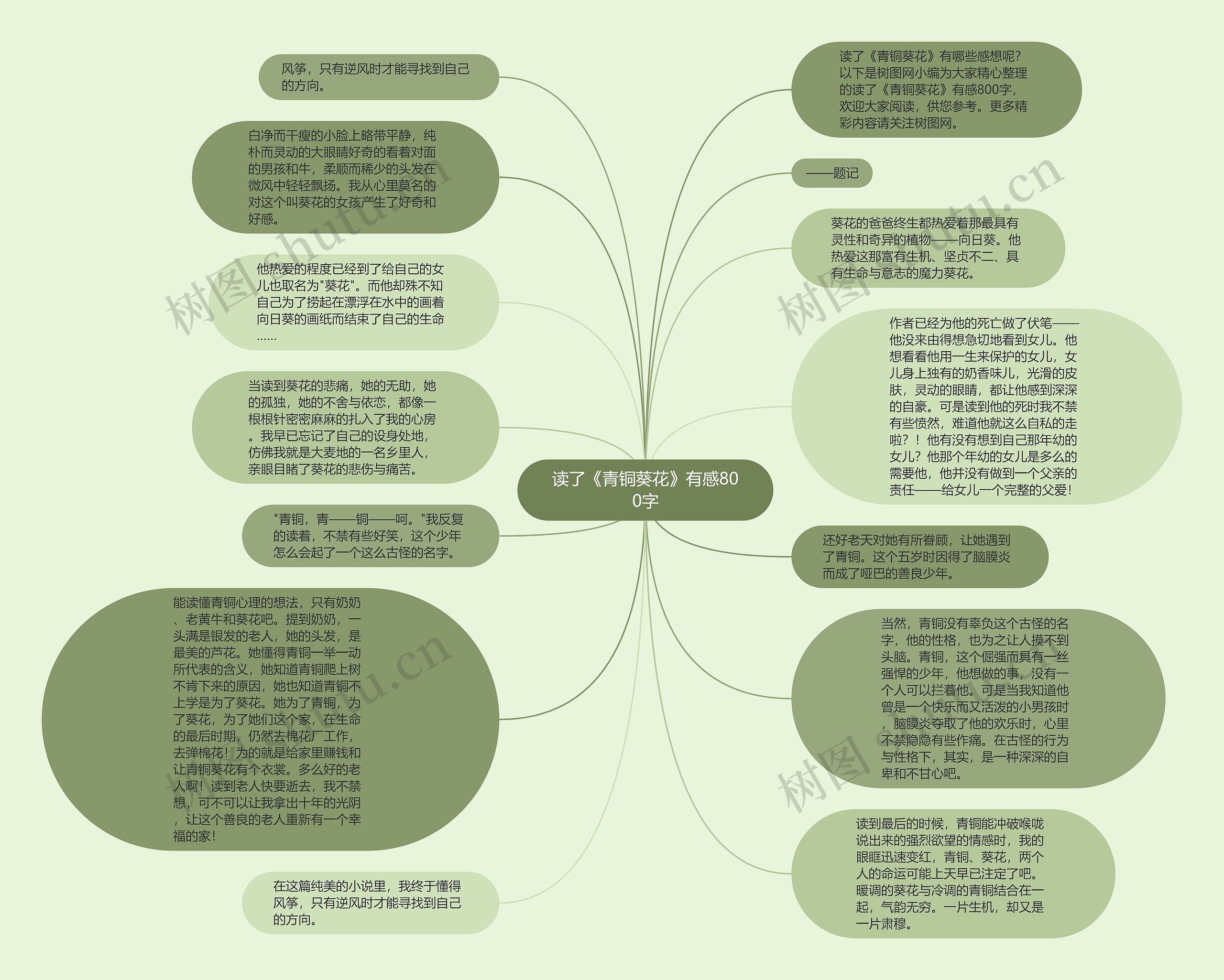 读了《青铜葵花》有感800字