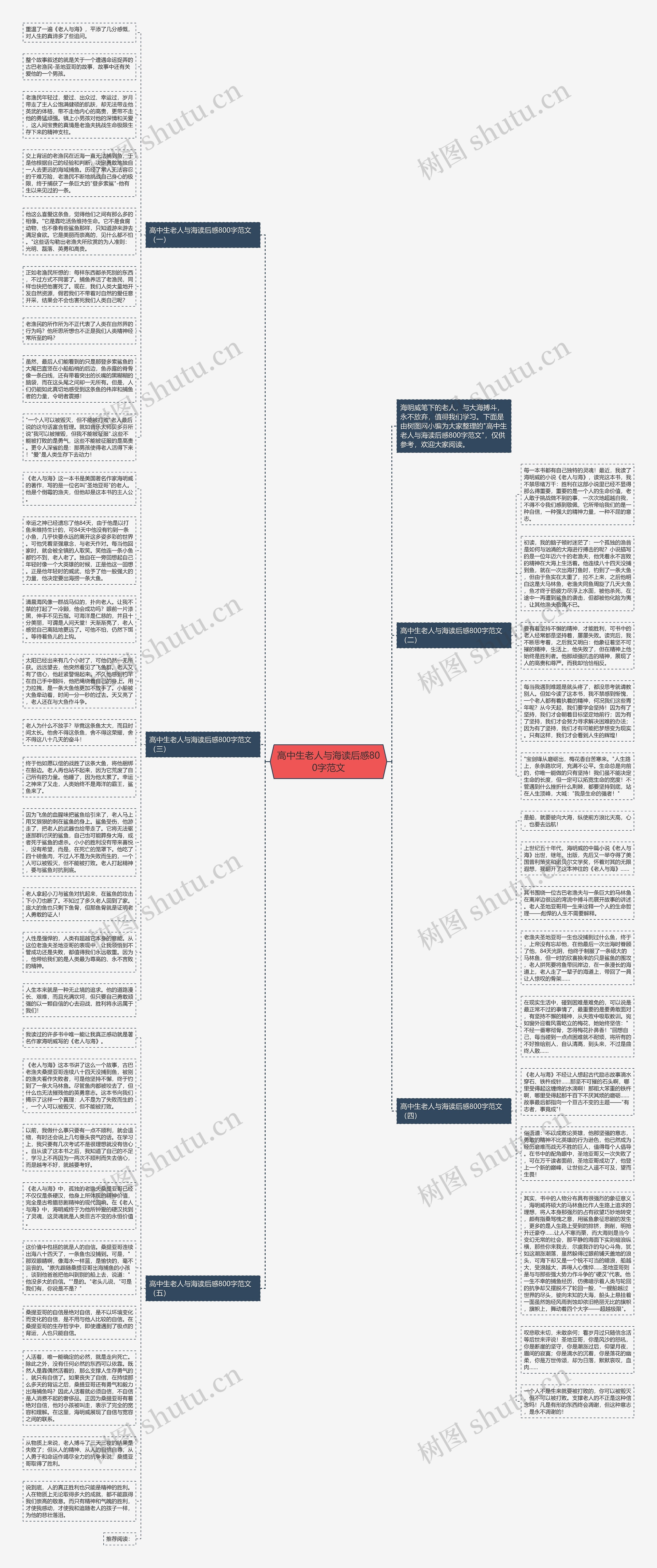 高中生老人与海读后感800字范文思维导图