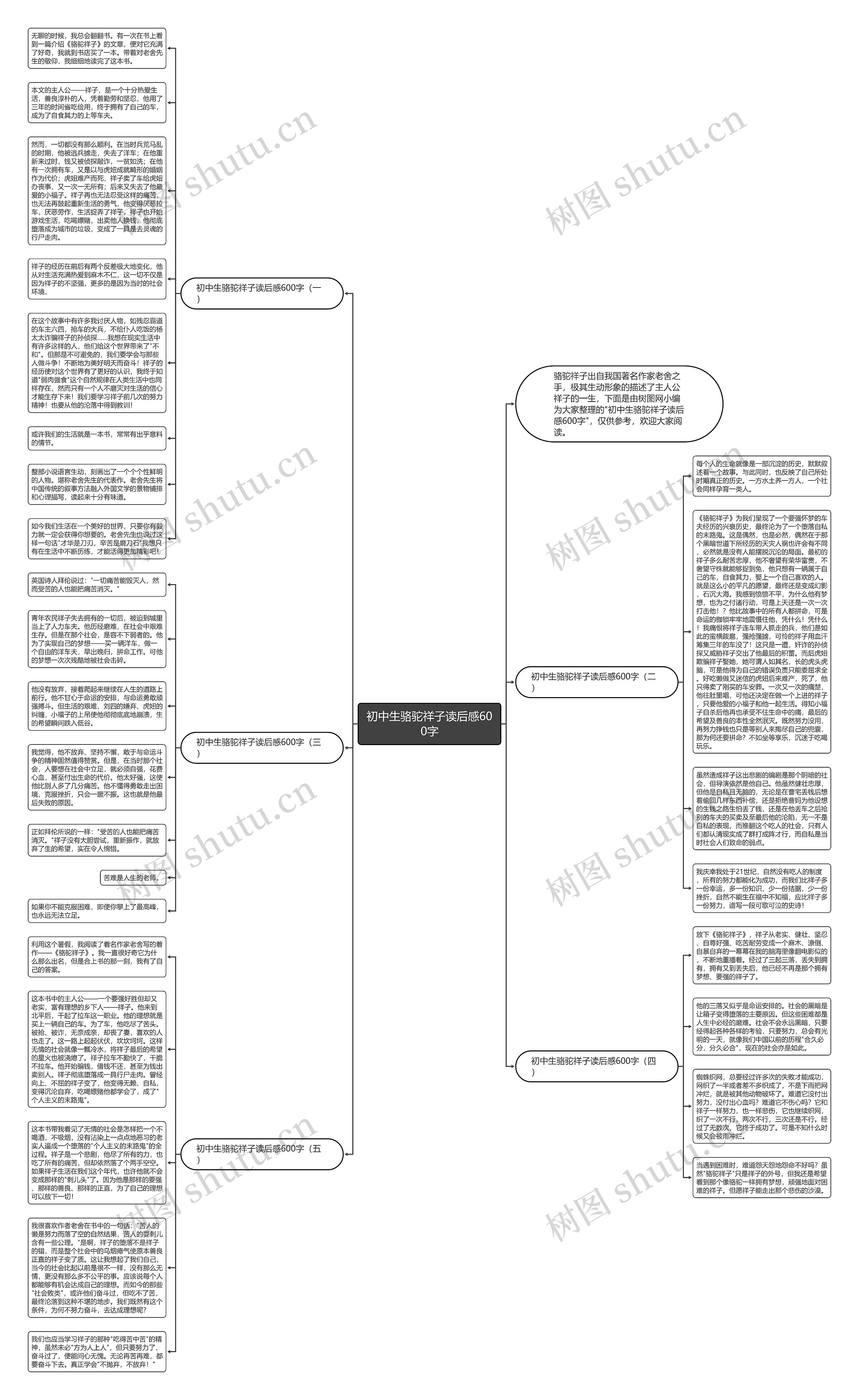 初中生骆驼祥子读后感600字思维导图
