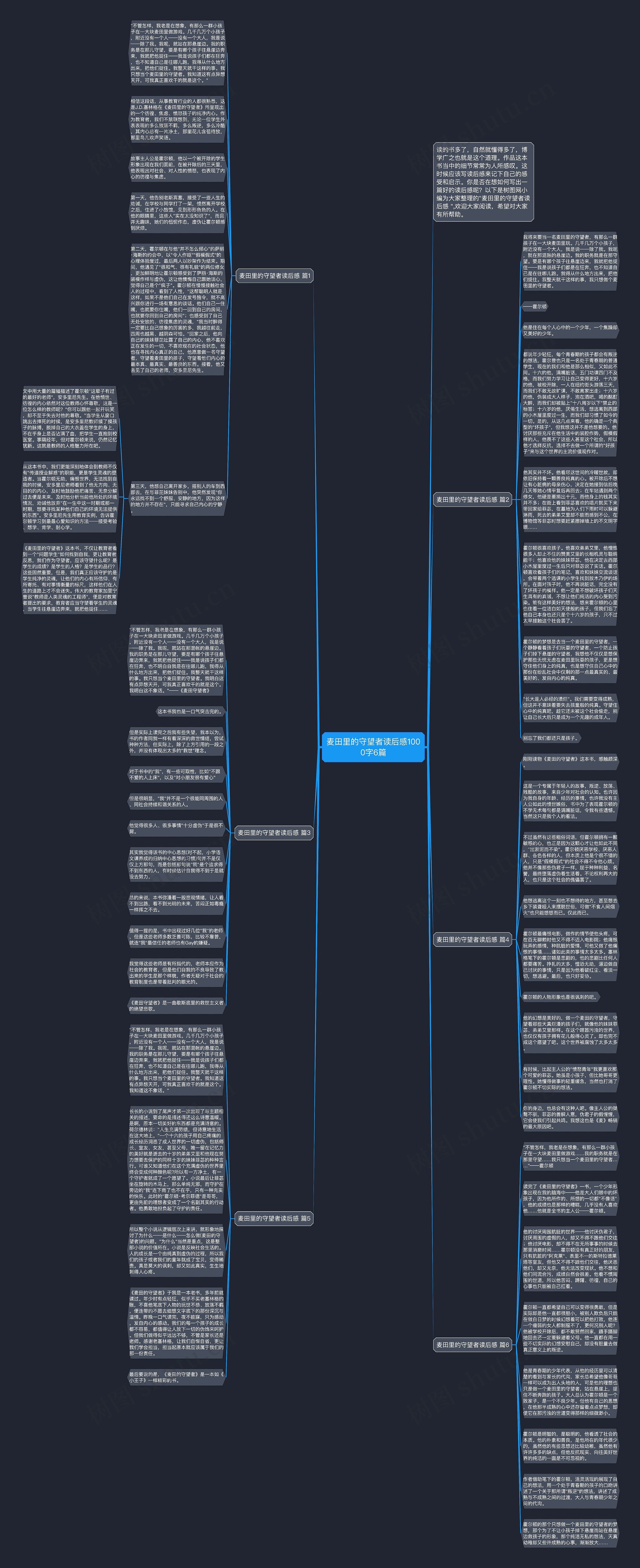 麦田里的守望者读后感1000字6篇思维导图
