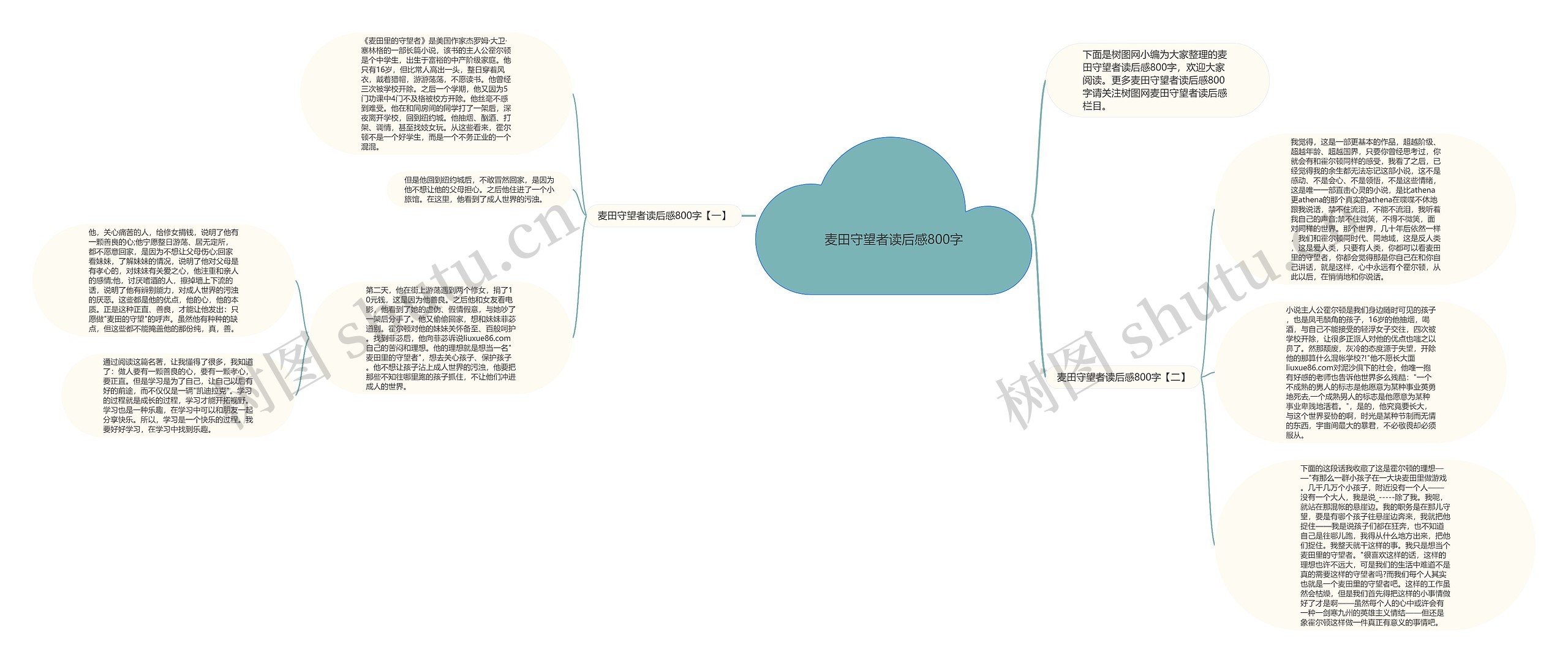 麦田守望者读后感800字思维导图