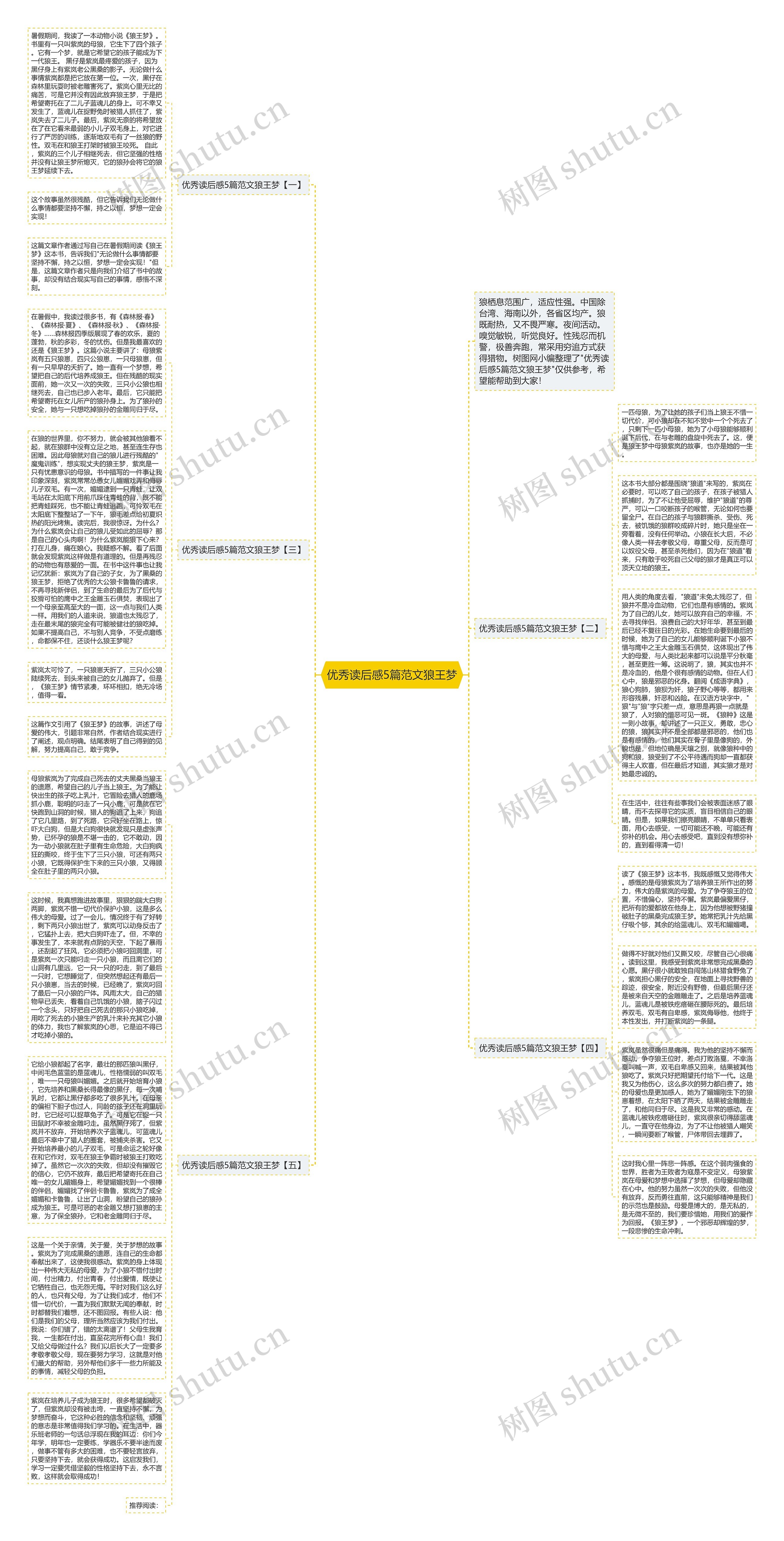 优秀读后感5篇范文狼王梦思维导图