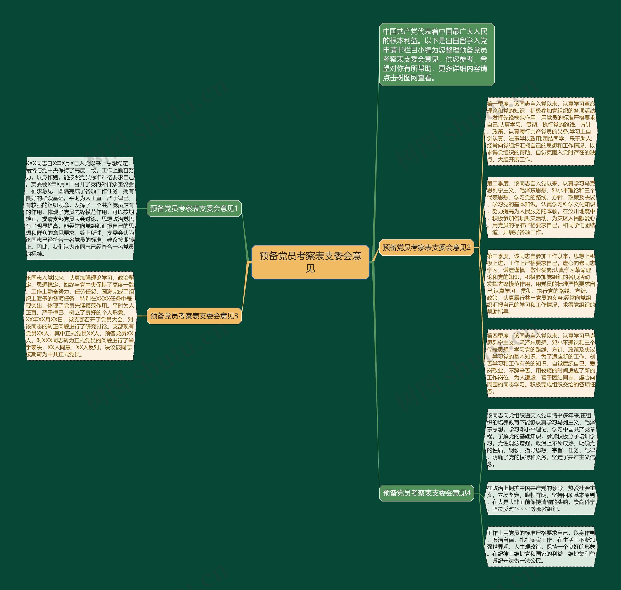 预备党员考察表支委会意见思维导图