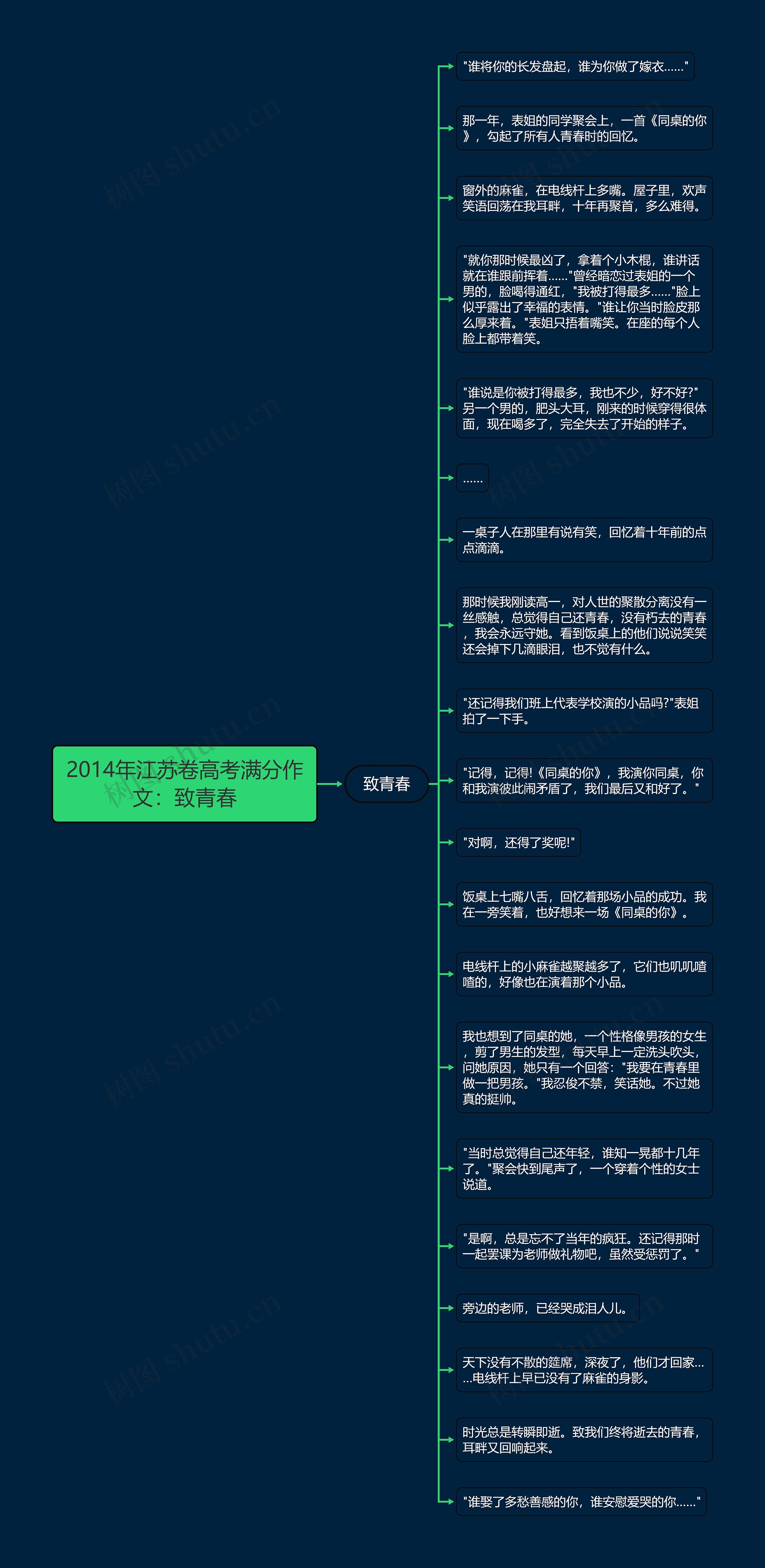 2014年江苏卷高考满分作文：致青春思维导图