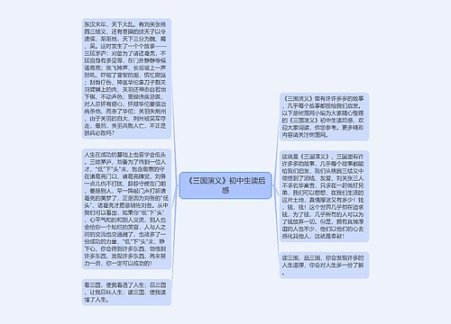 《三国演义》初中生读后感