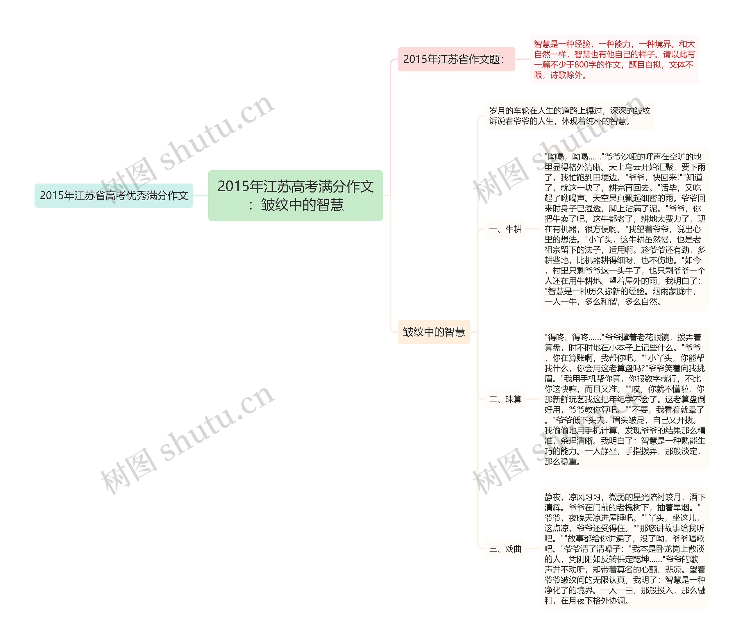 2015年江苏高考满分作文：皱纹中的智慧思维导图