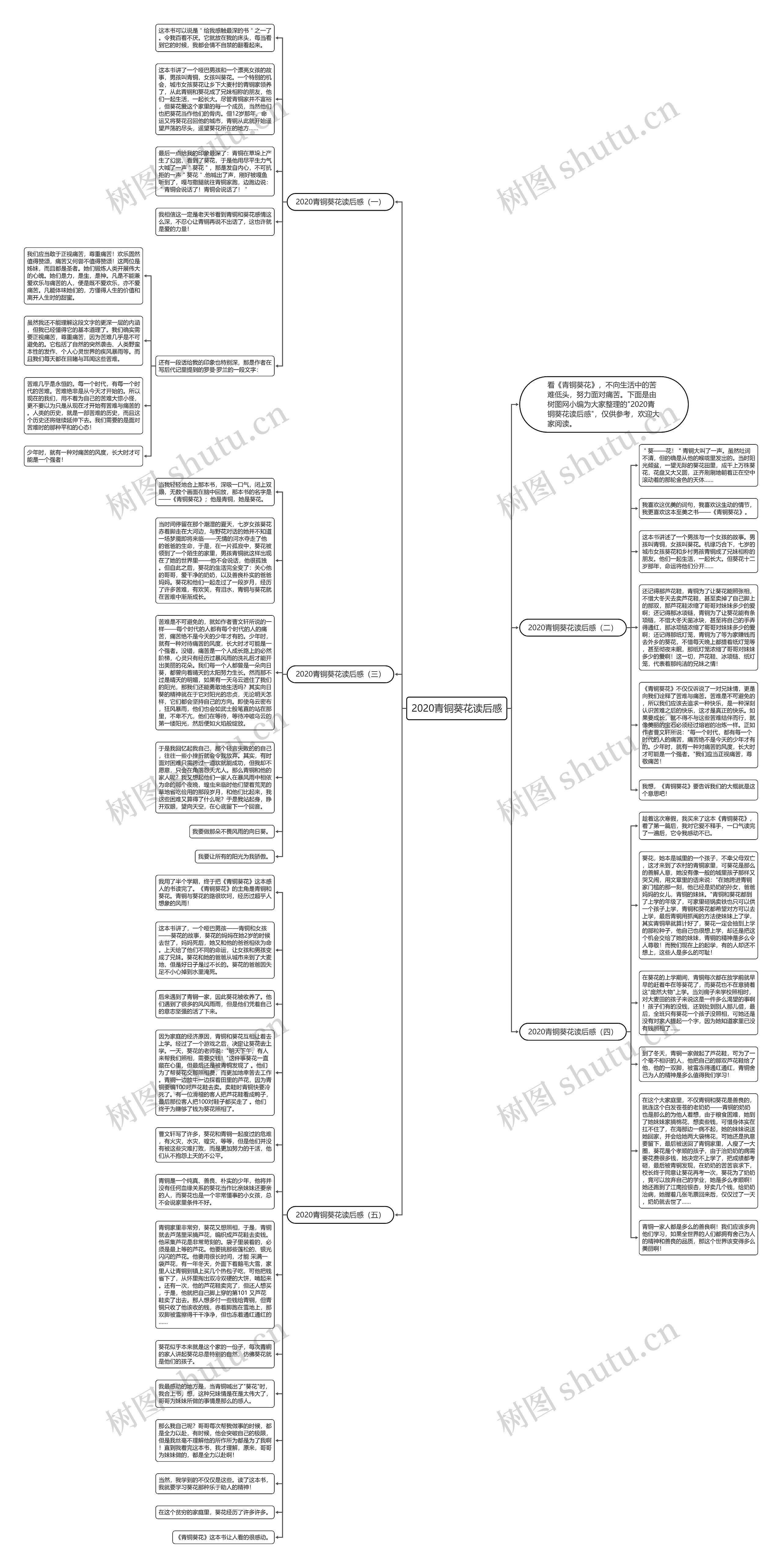 2020青铜葵花读后感思维导图