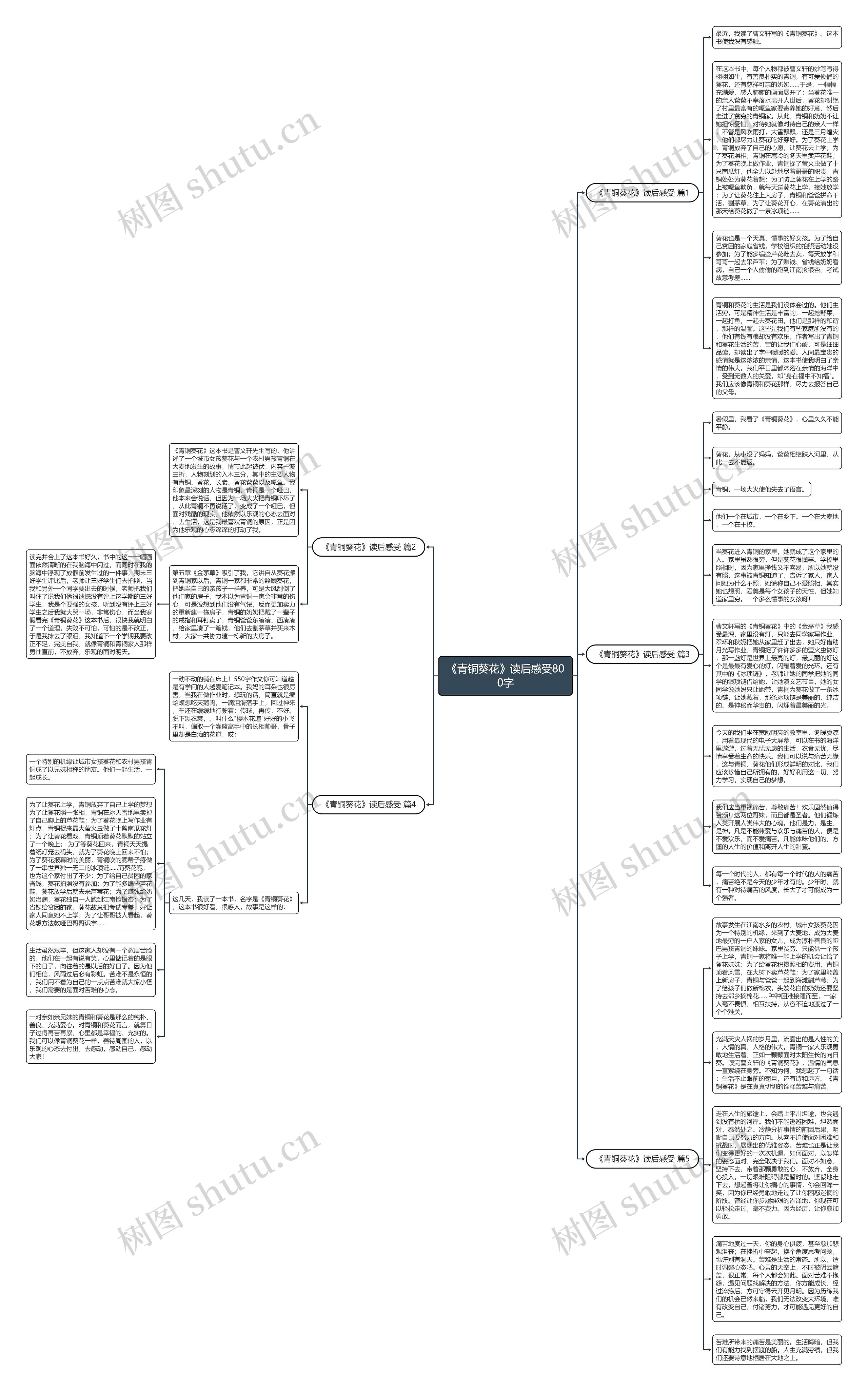 《青铜葵花》读后感受800字思维导图