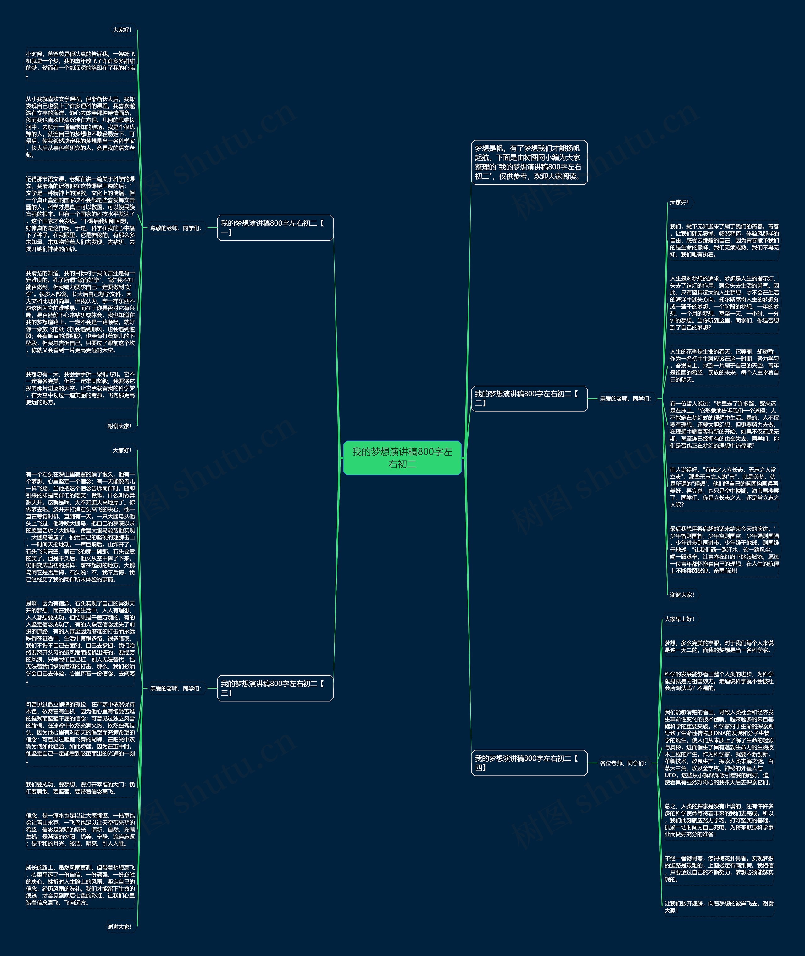 我的梦想演讲稿800字左右初二思维导图