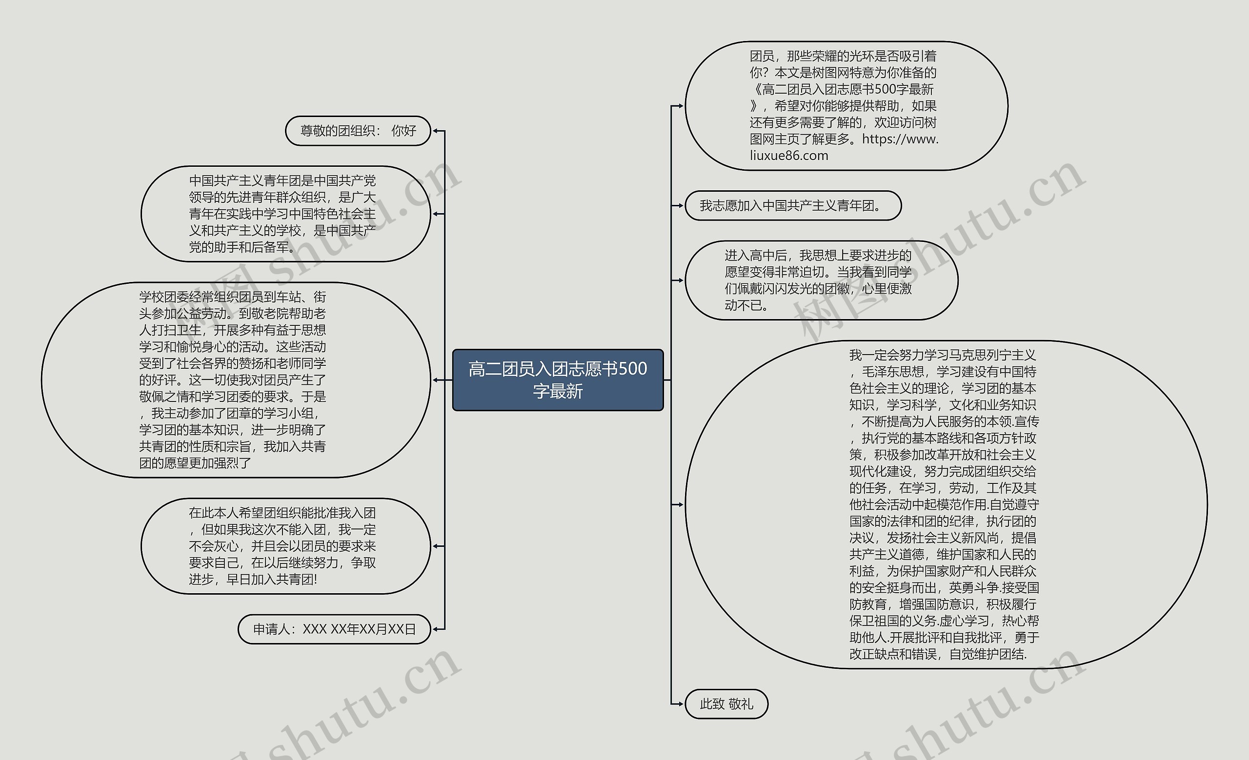 高二团员入团志愿书500字最新