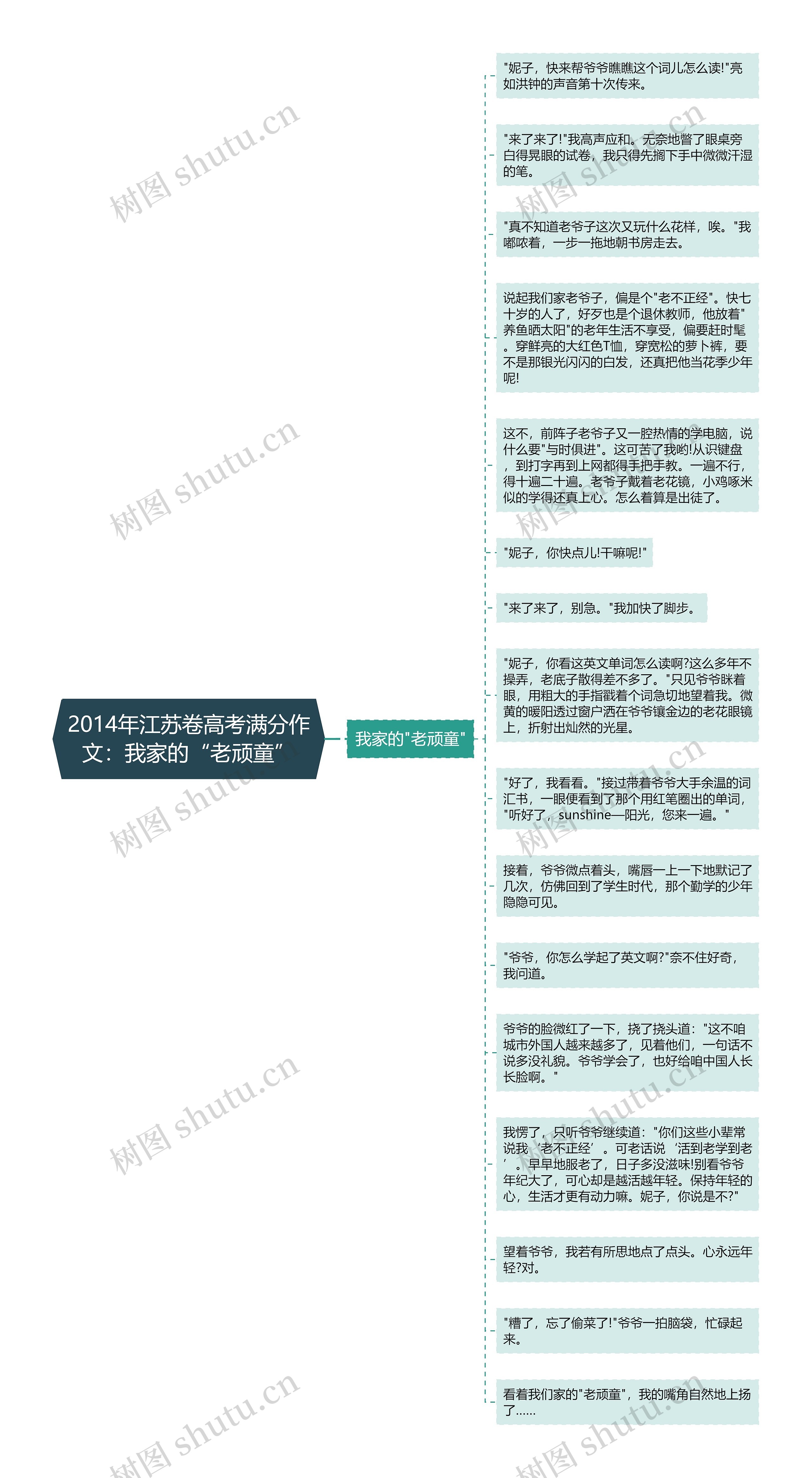 2014年江苏卷高考满分作文：我家的“老顽童”思维导图