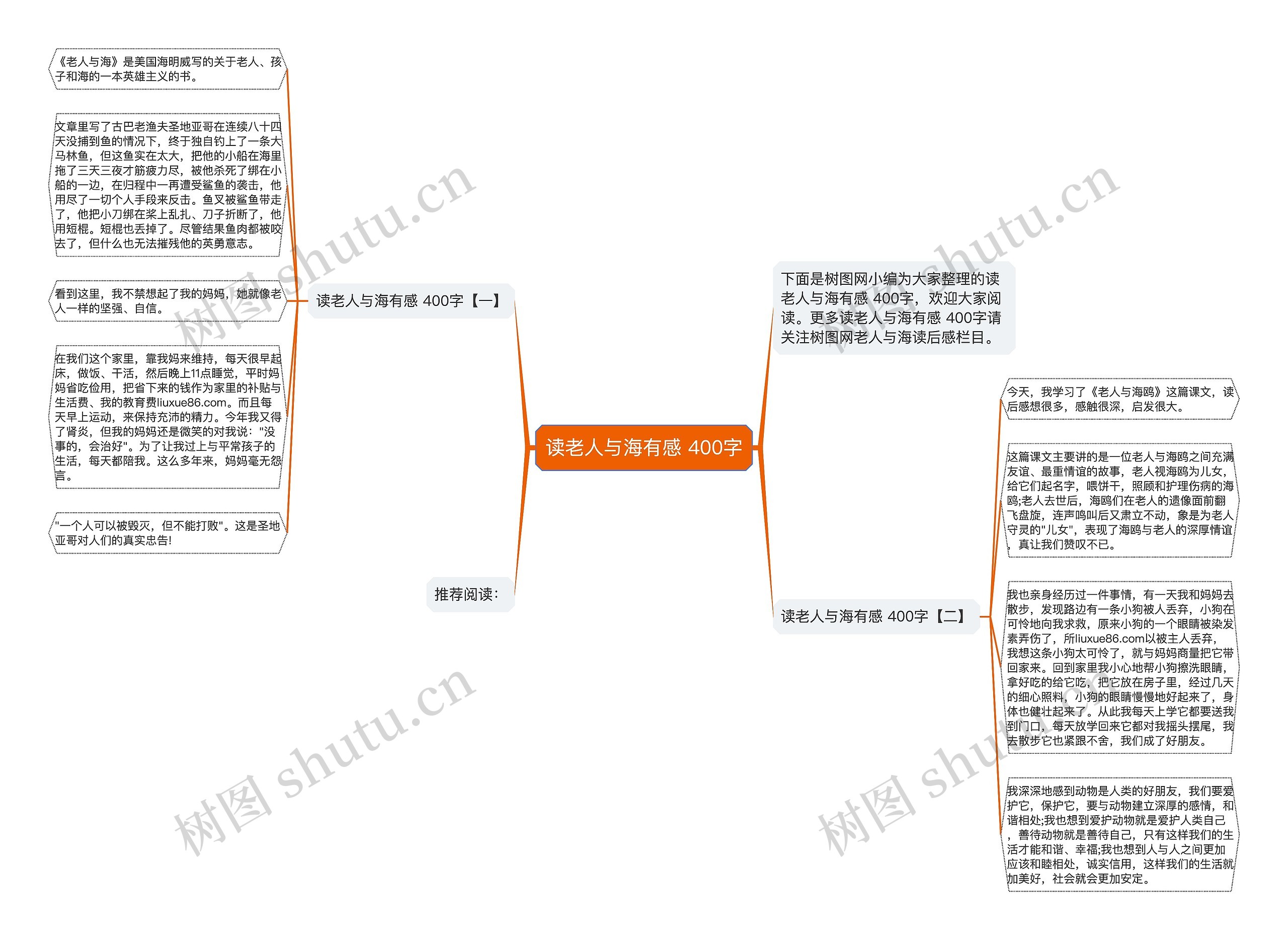 读老人与海有感 400字