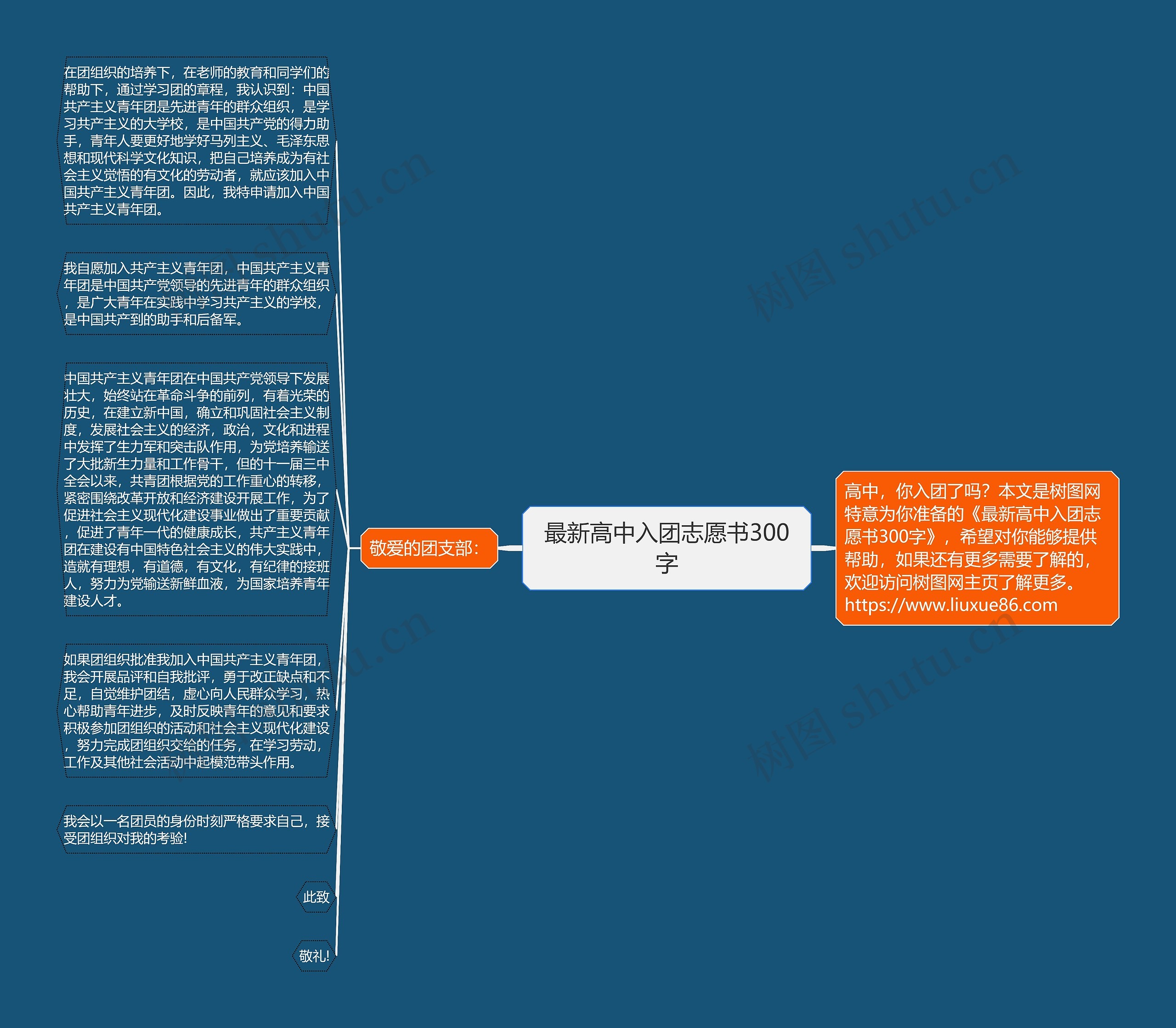 最新高中入团志愿书300字