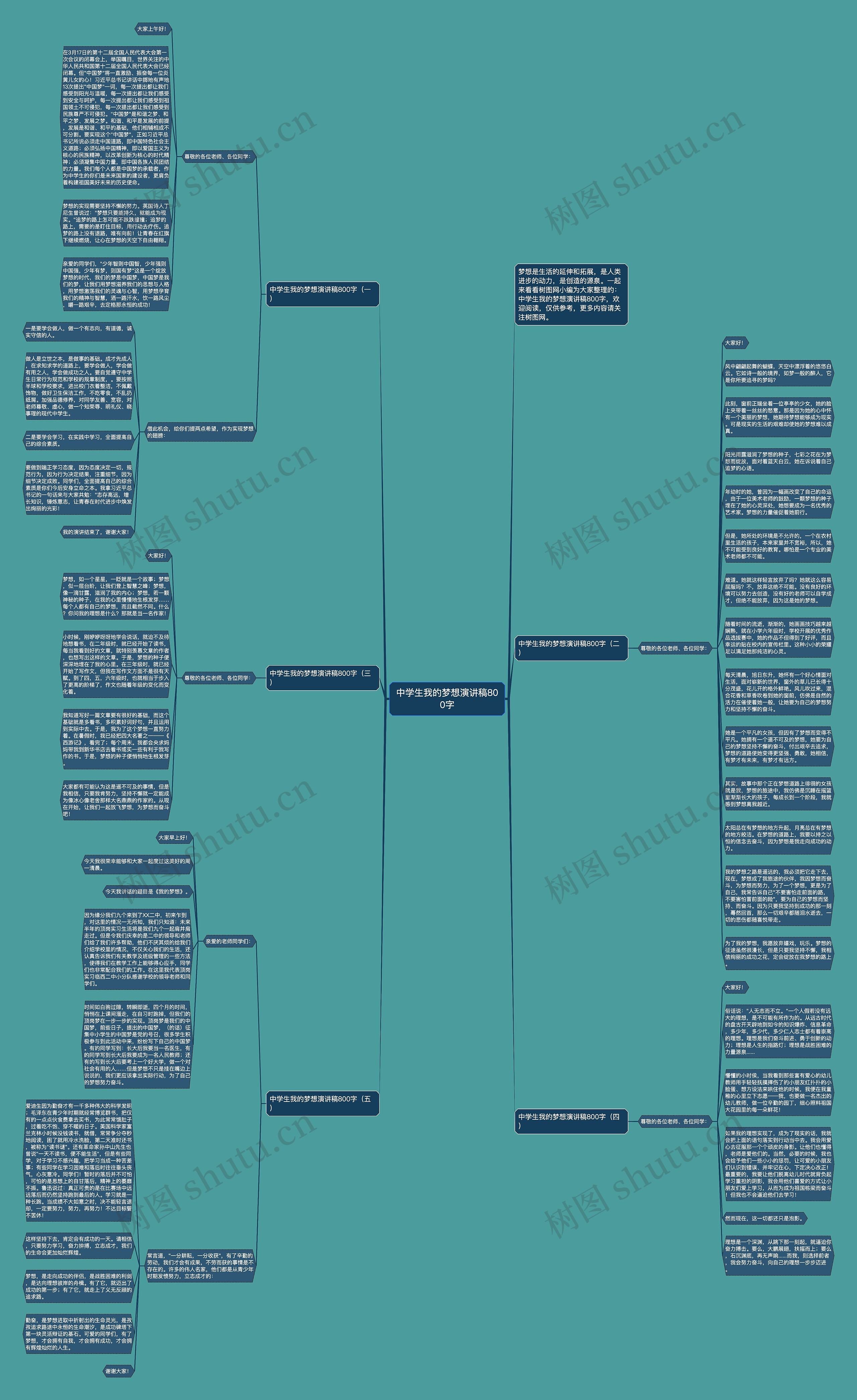 中学生我的梦想演讲稿800字思维导图