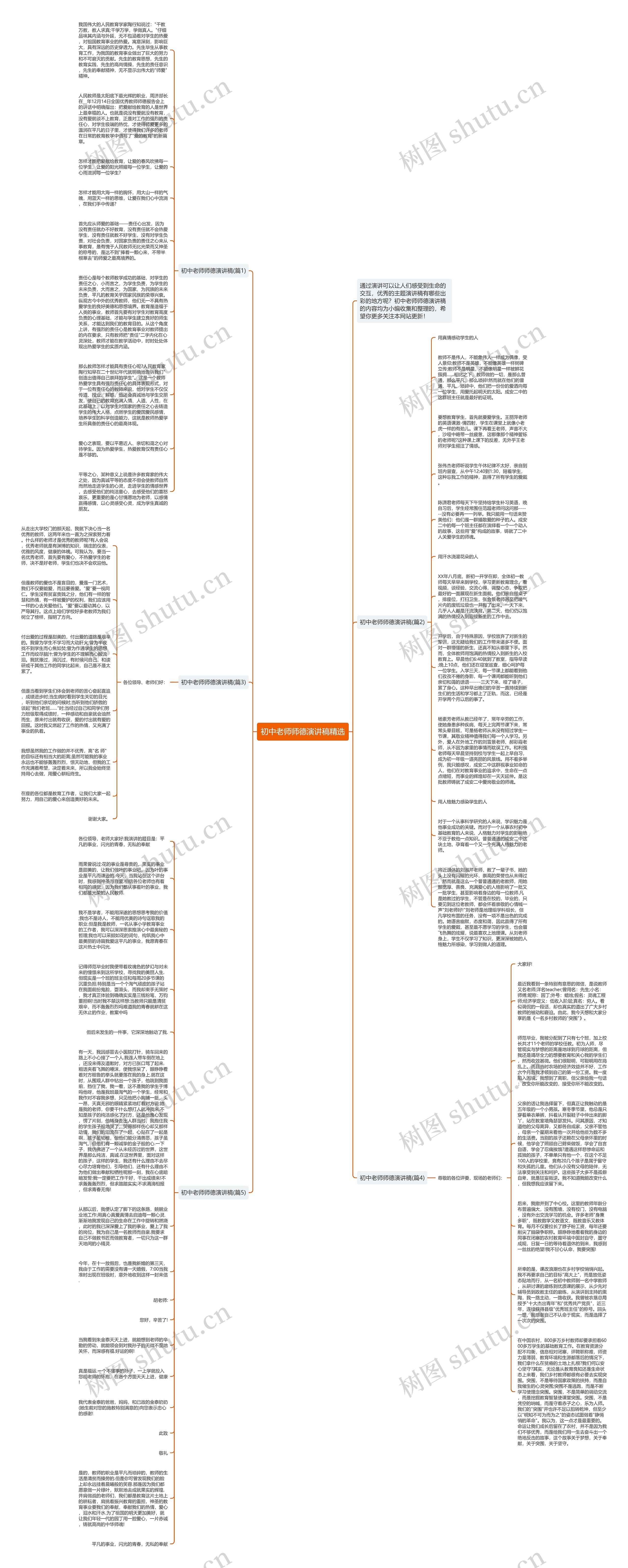 初中老师师德演讲稿精选思维导图