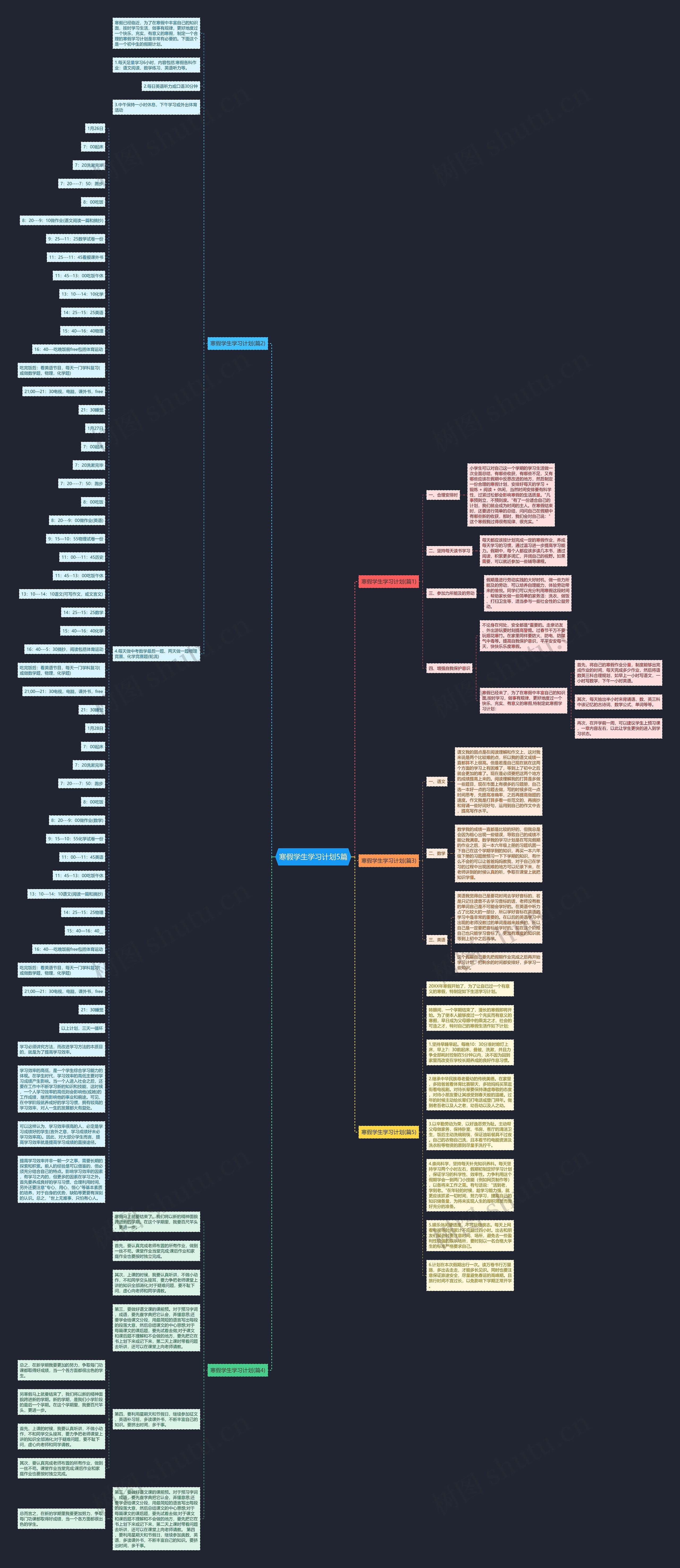 寒假学生学习计划5篇