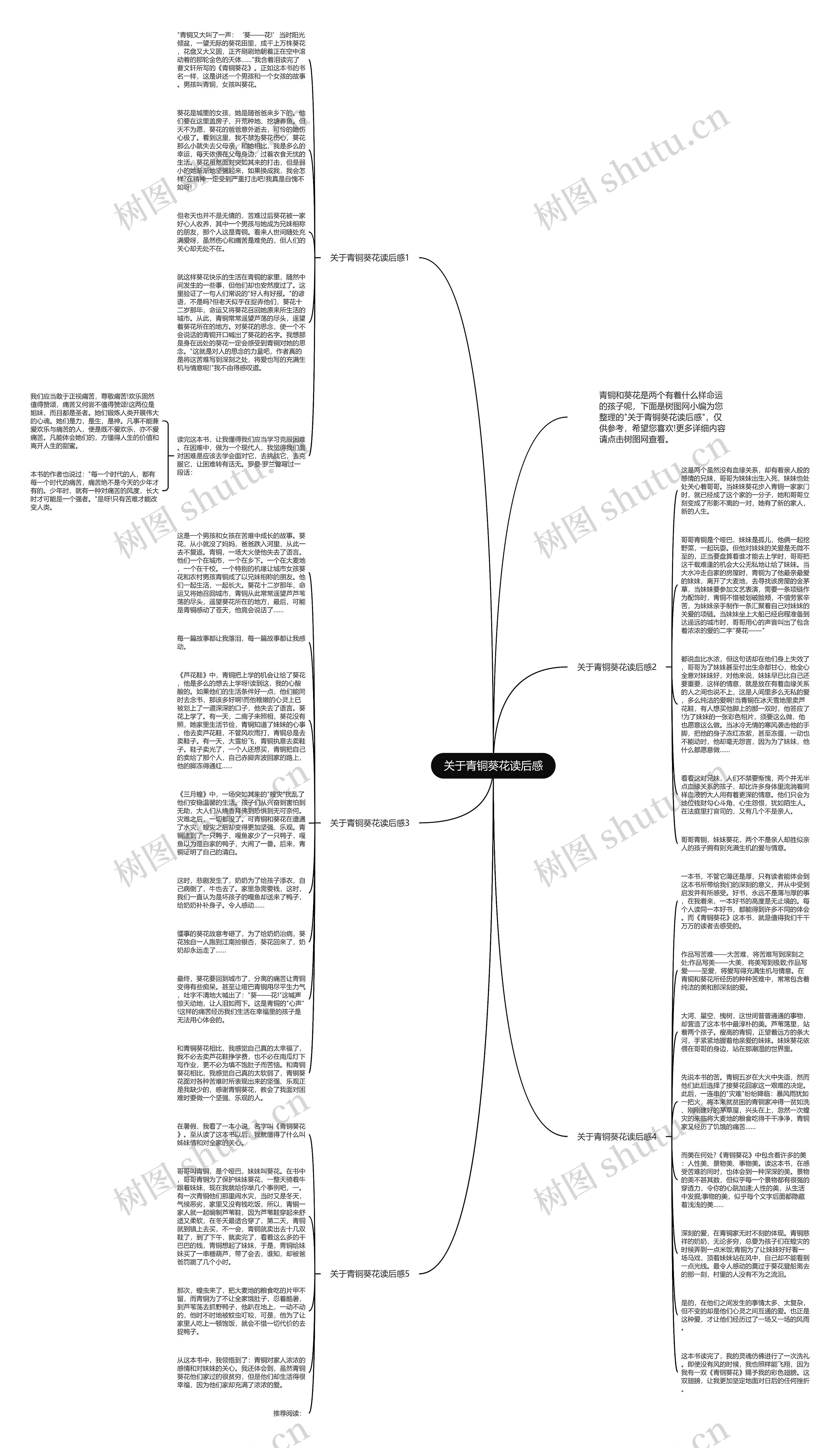 关于青铜葵花读后感思维导图