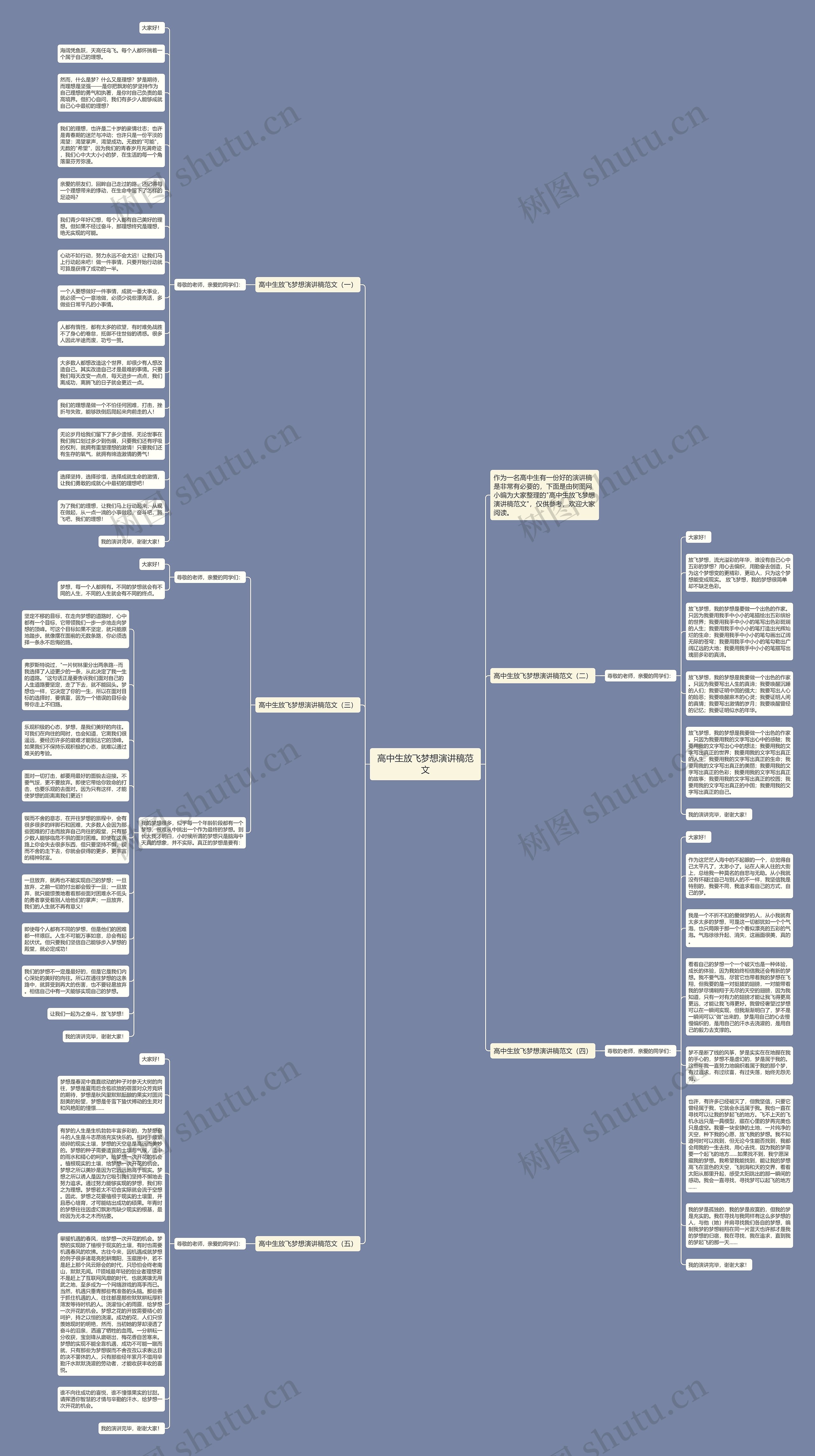 高中生放飞梦想演讲稿范文思维导图