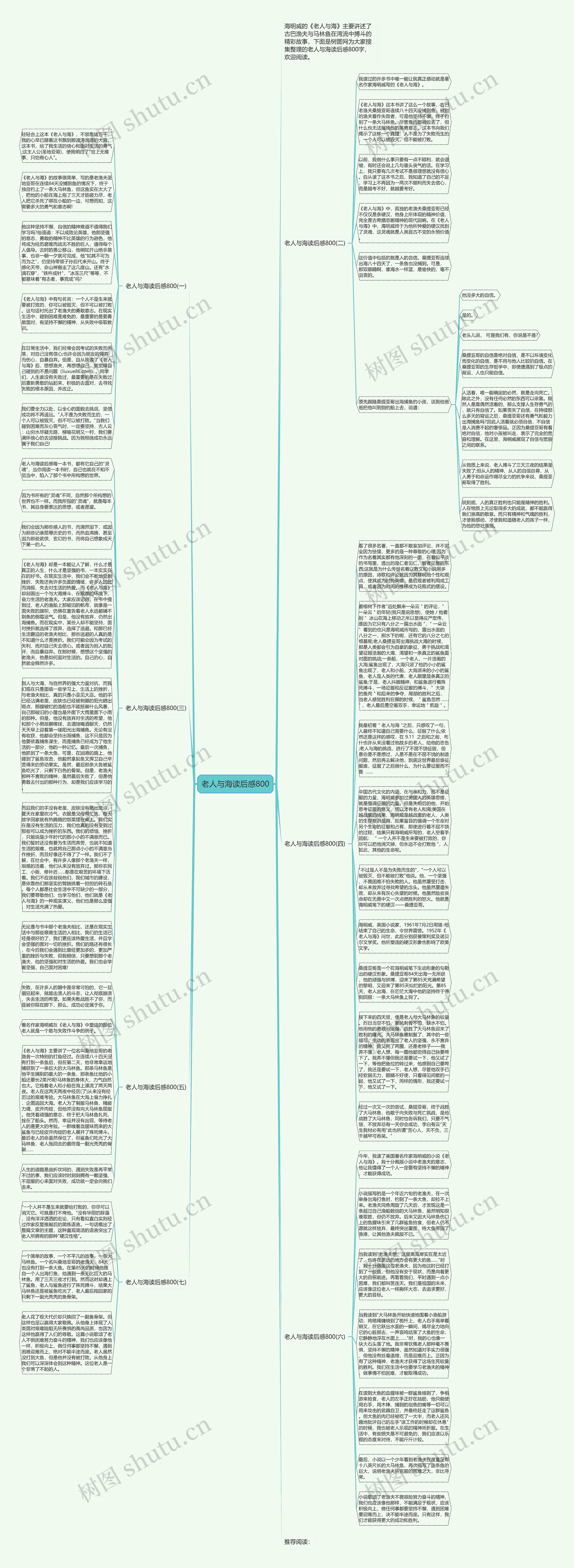 老人与海读后感800