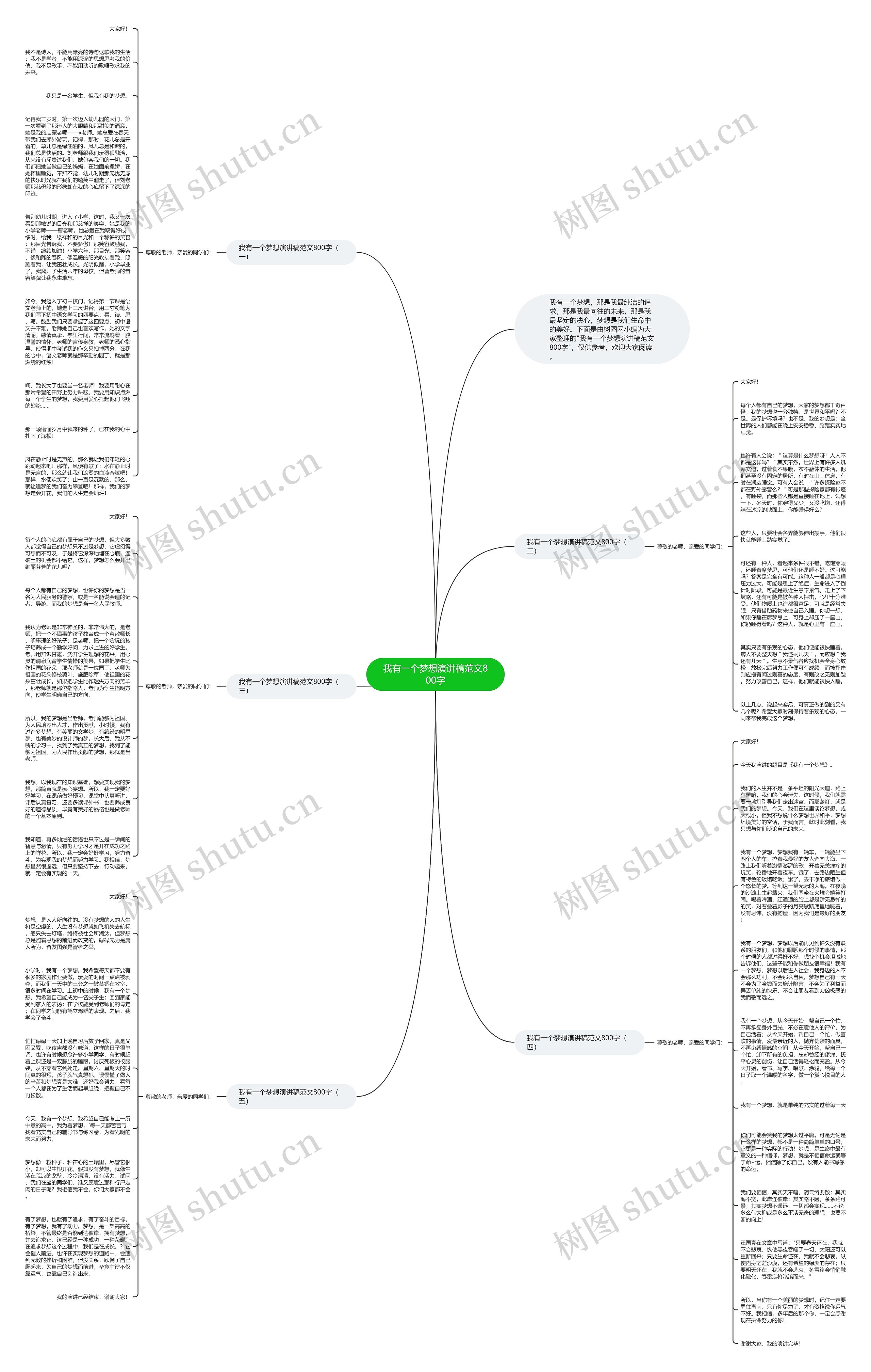 我有一个梦想演讲稿范文800字思维导图