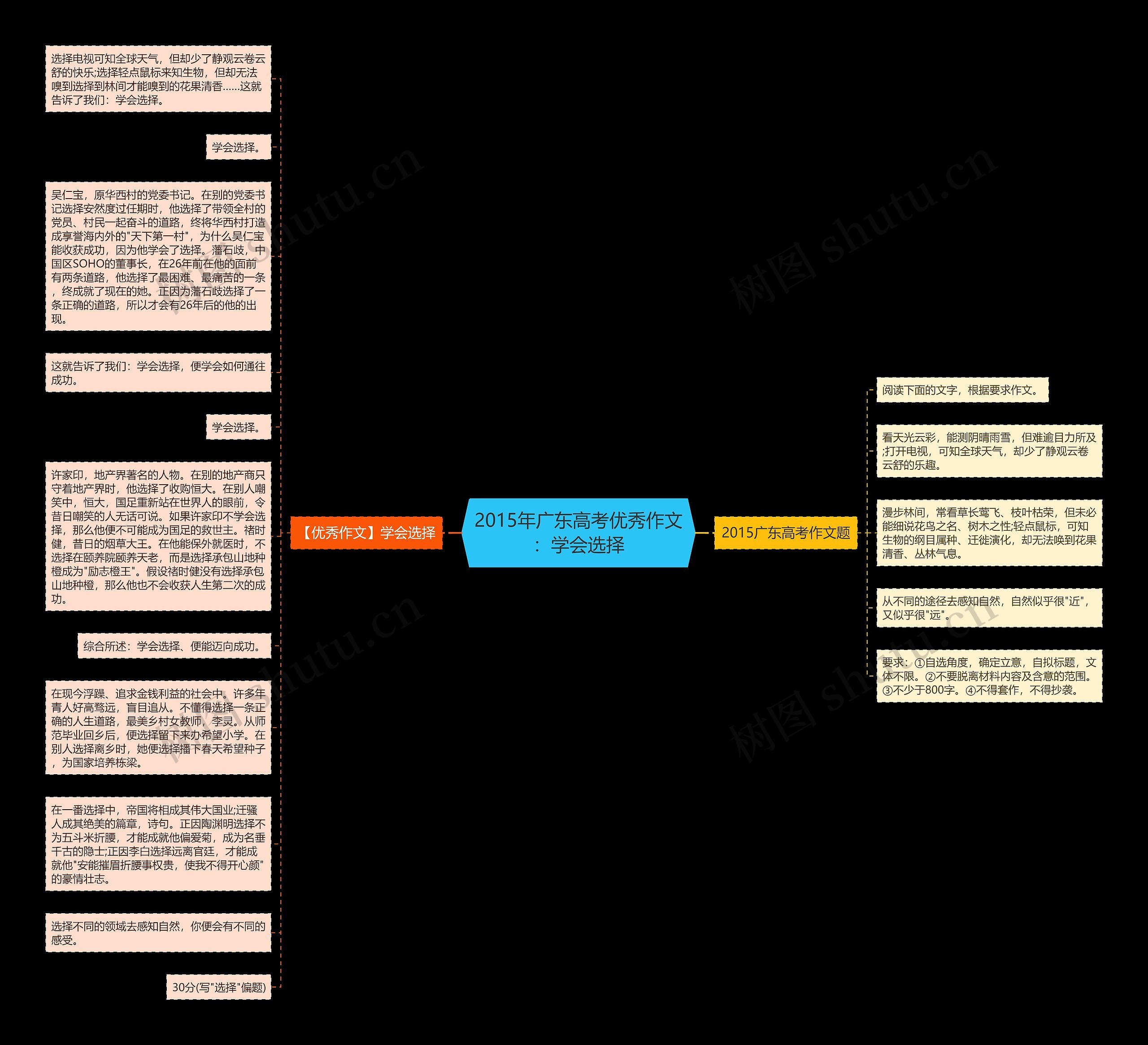 2015年广东高考优秀作文：学会选择思维导图
