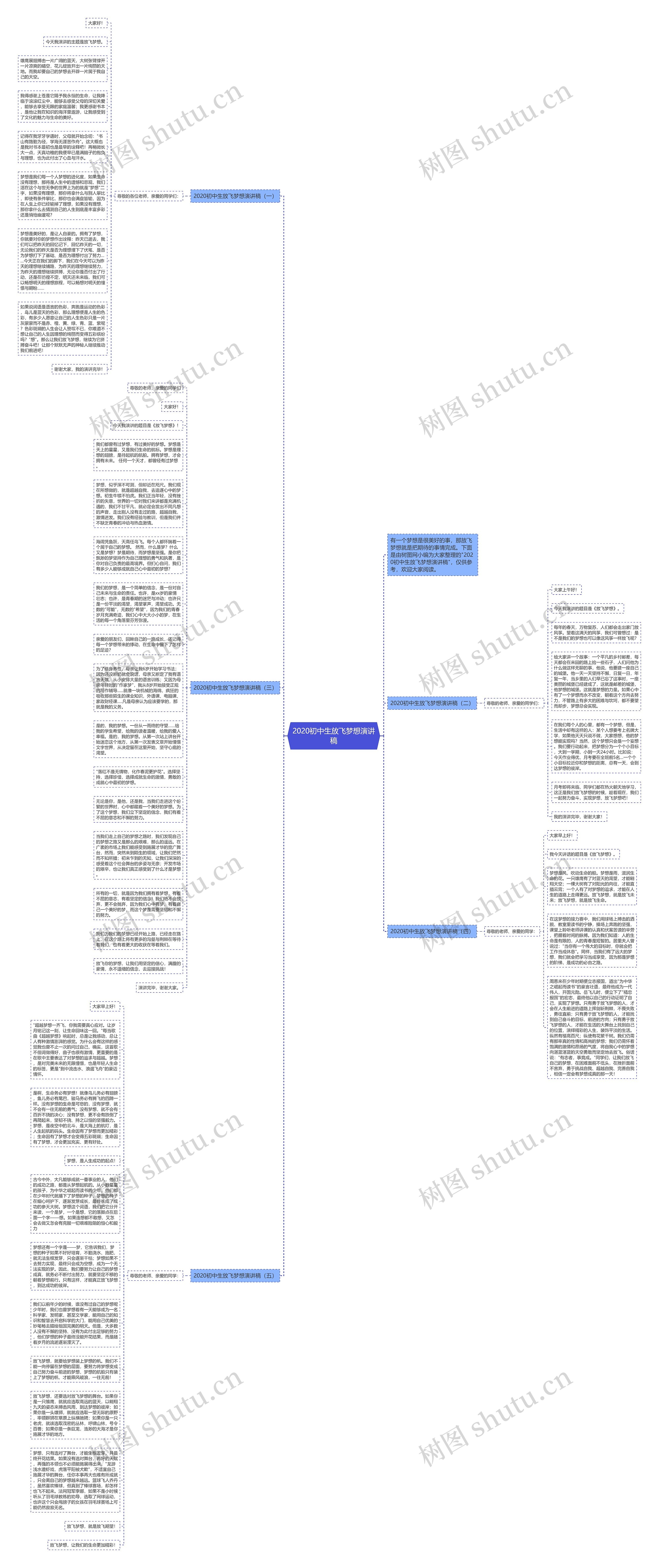 2020初中生放飞梦想演讲稿思维导图