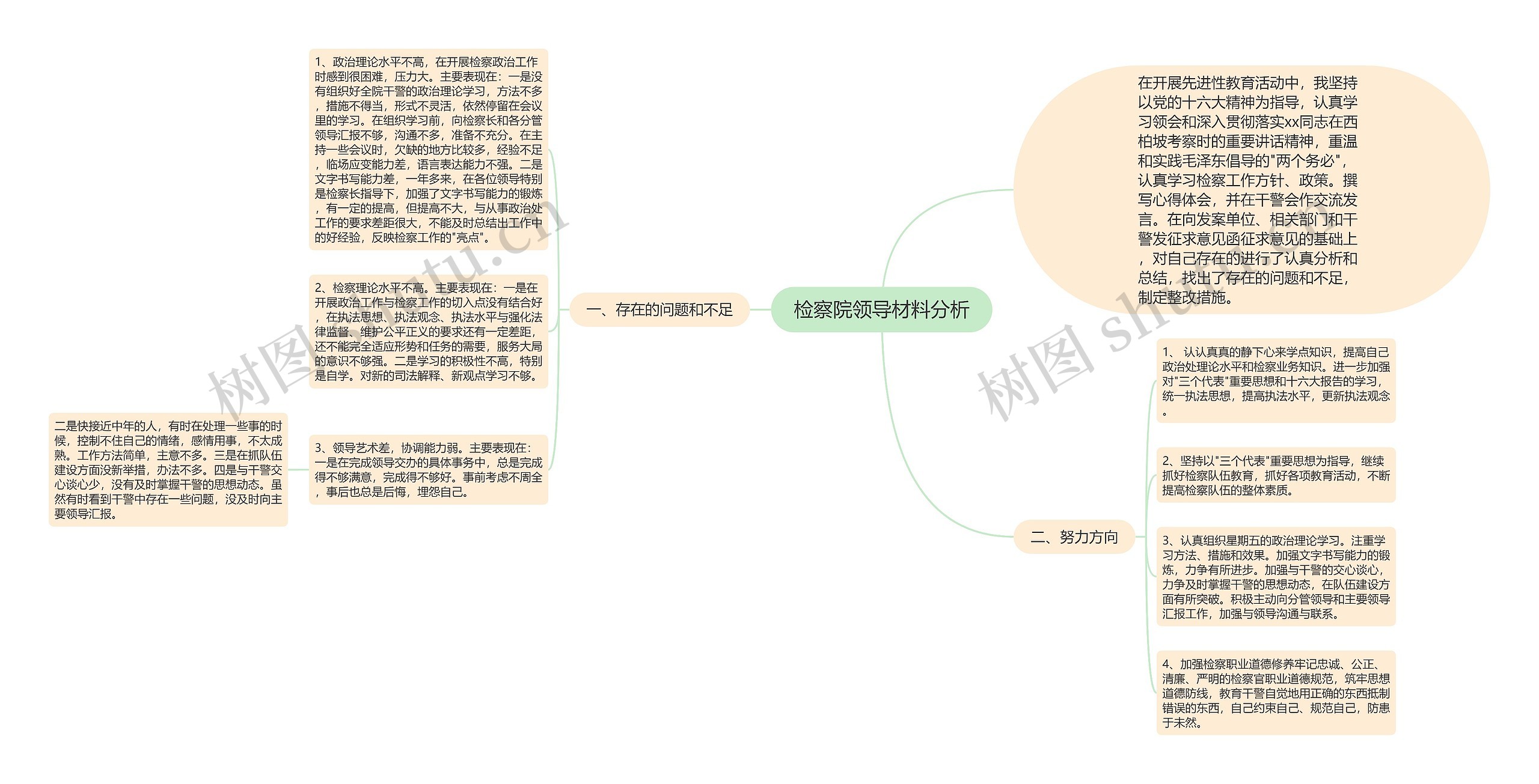 检察院领导材料分析