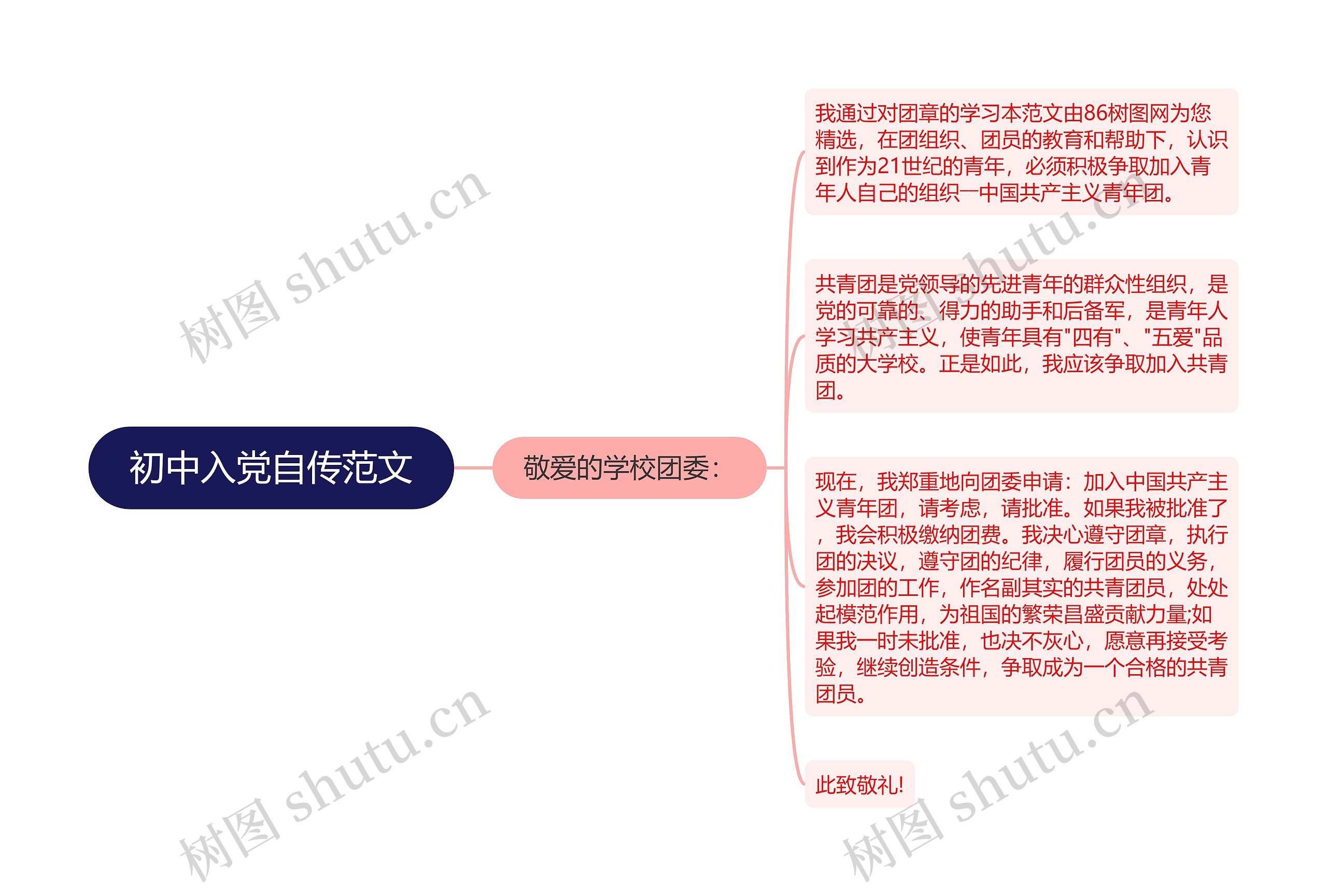 初中入党自传范文思维导图