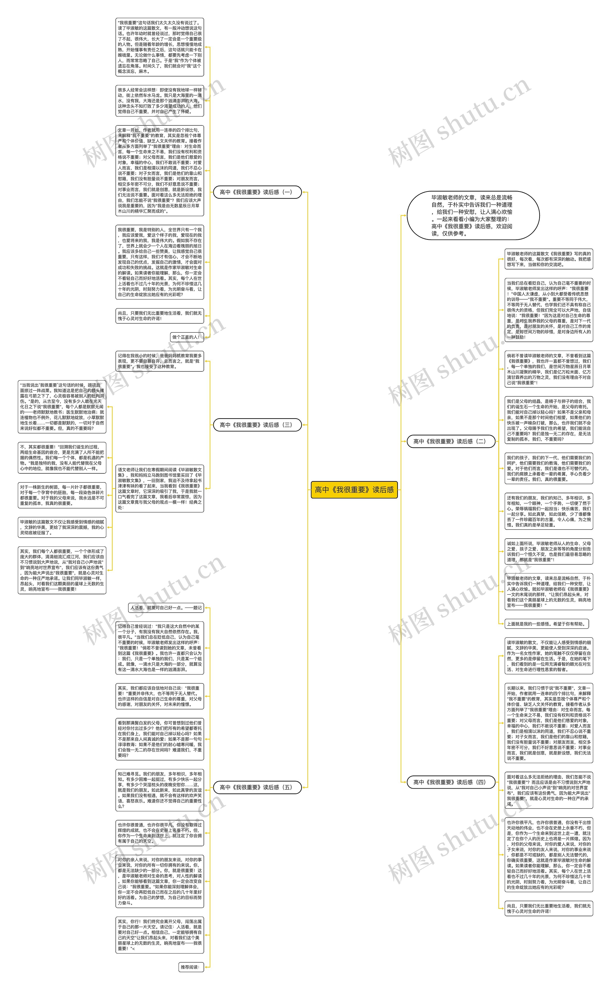 高中《我很重要》读后感思维导图