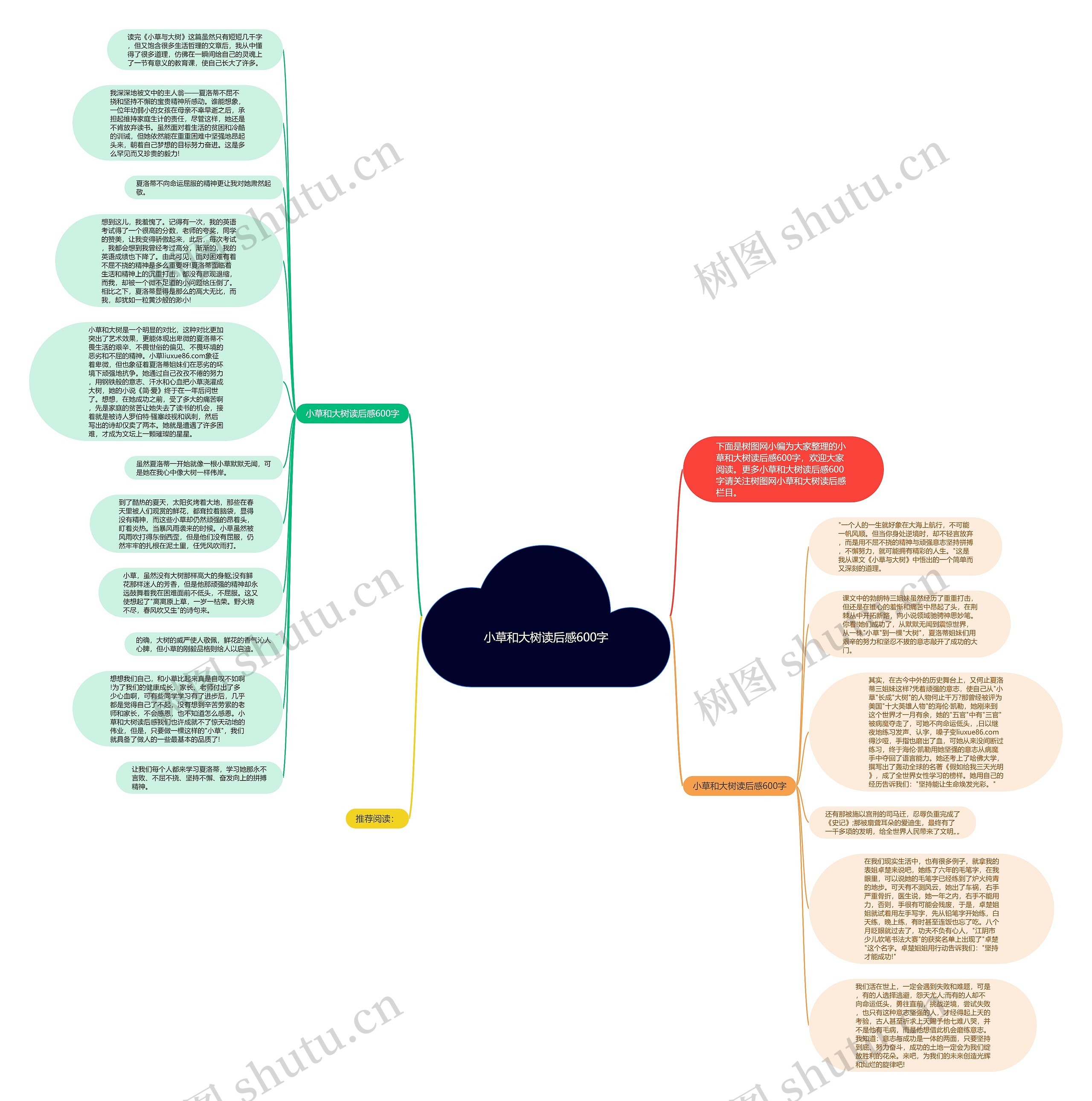 小草和大树读后感600字思维导图