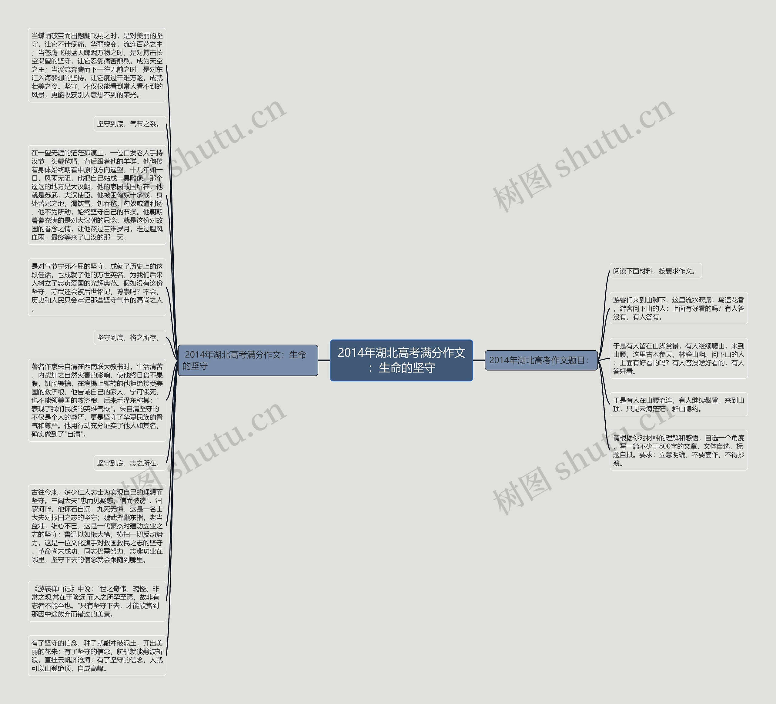2014年湖北高考满分作文：生命的坚守思维导图