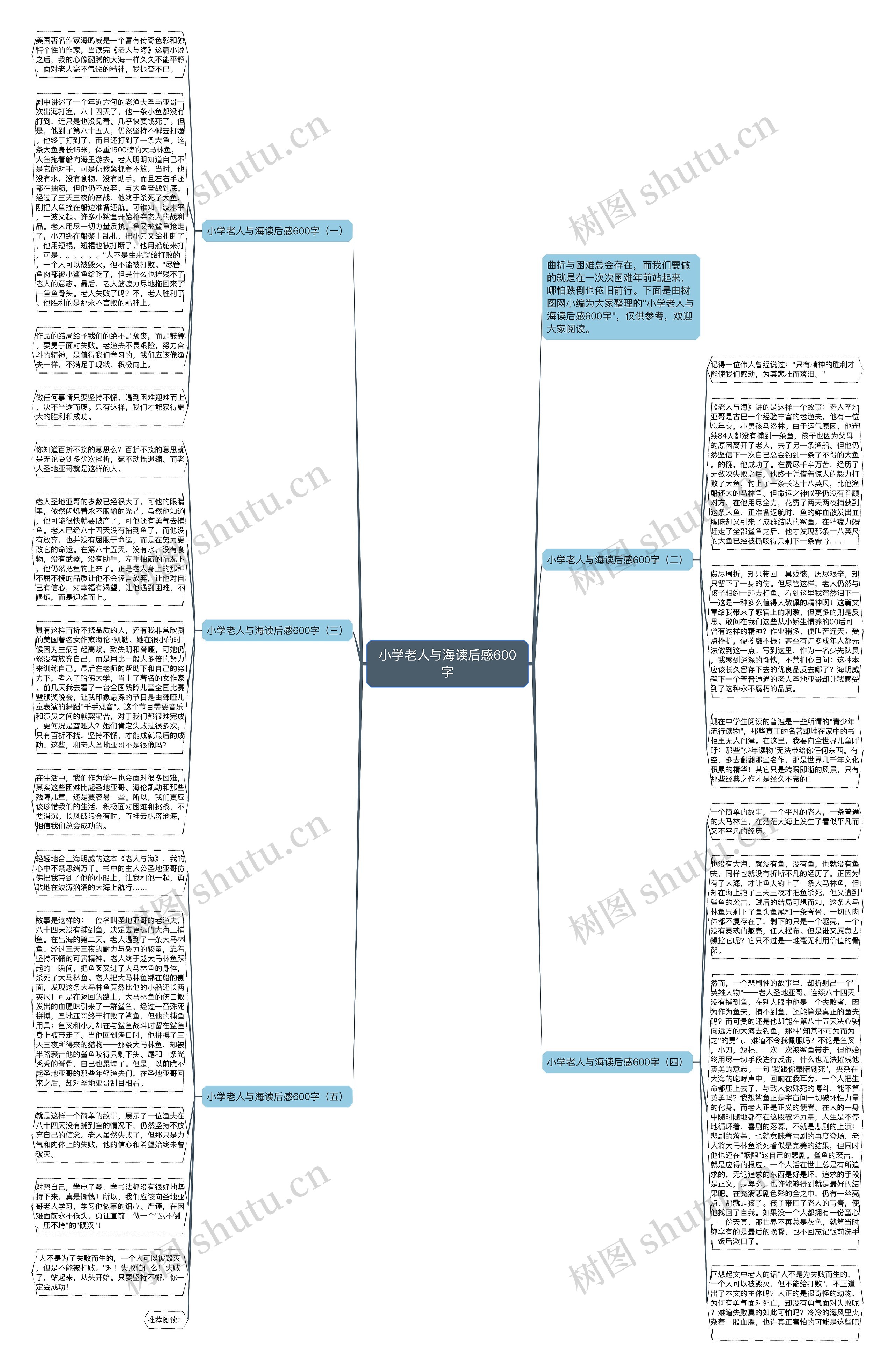 小学老人与海读后感600字
