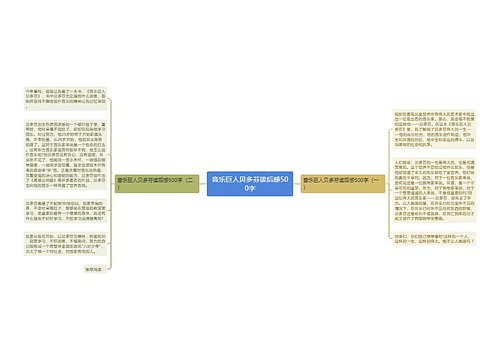 音乐巨人贝多芬读后感500字