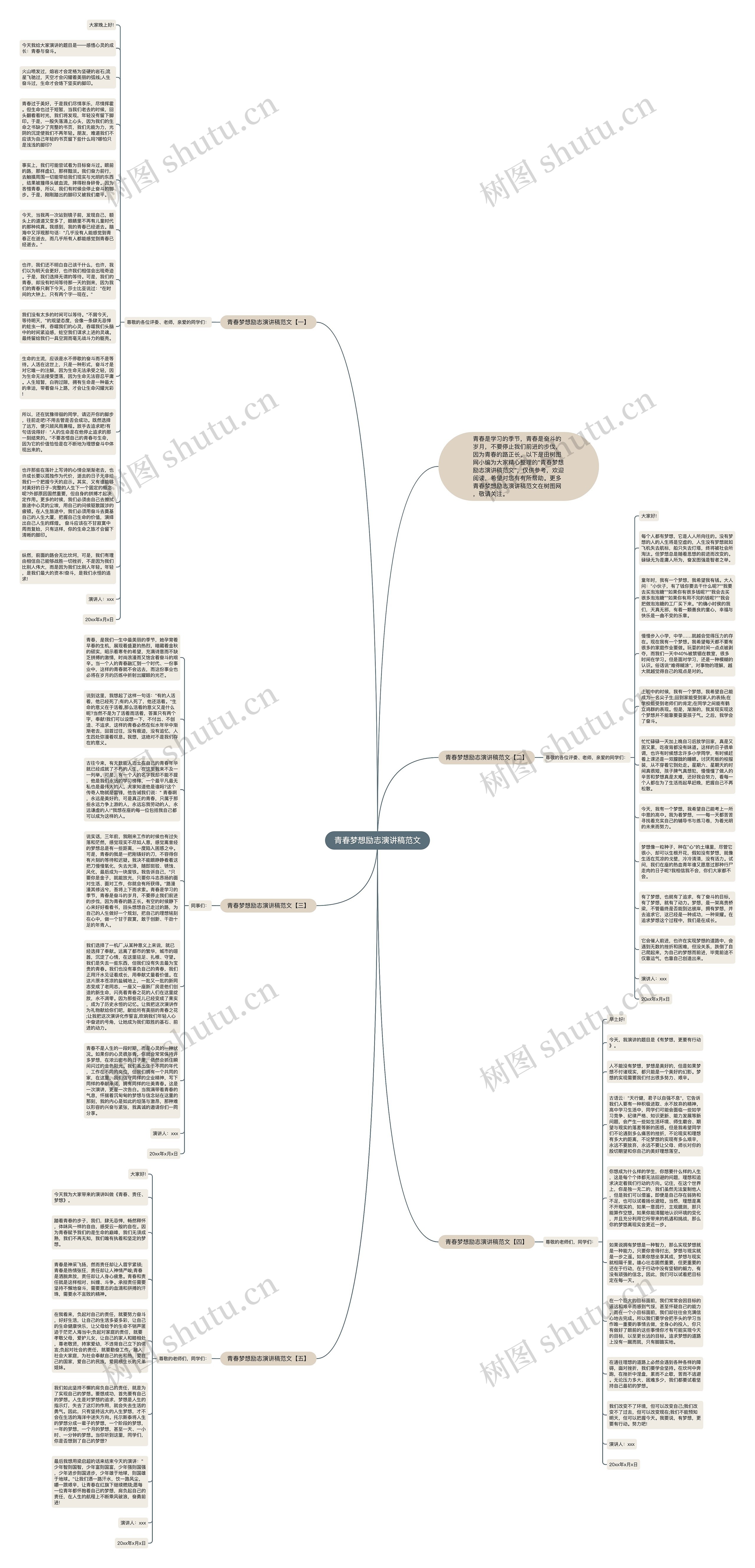 青春梦想励志演讲稿范文思维导图