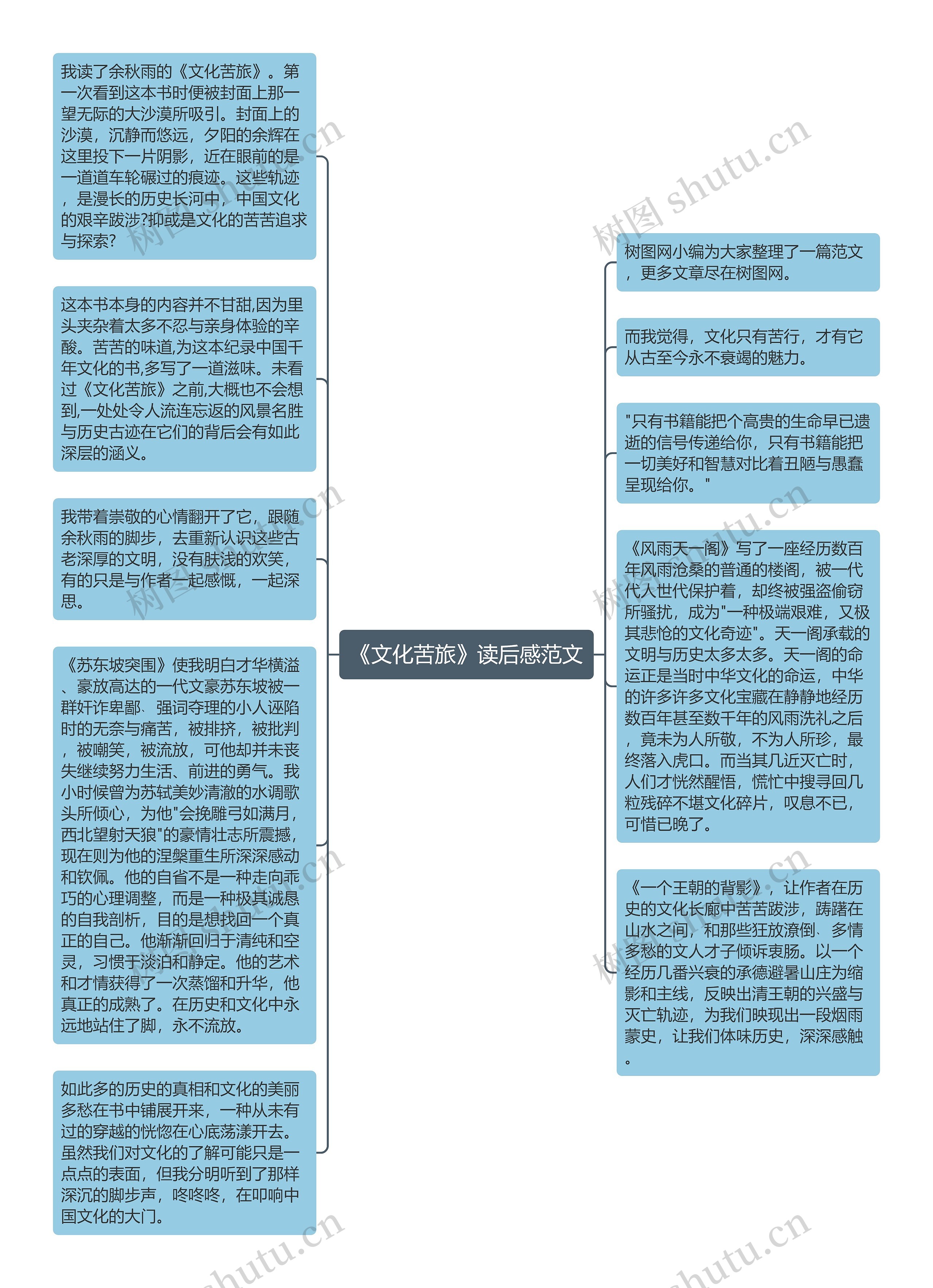 《文化苦旅》读后感范文