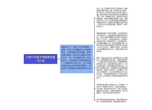 小学六年级下学期学生复习计划