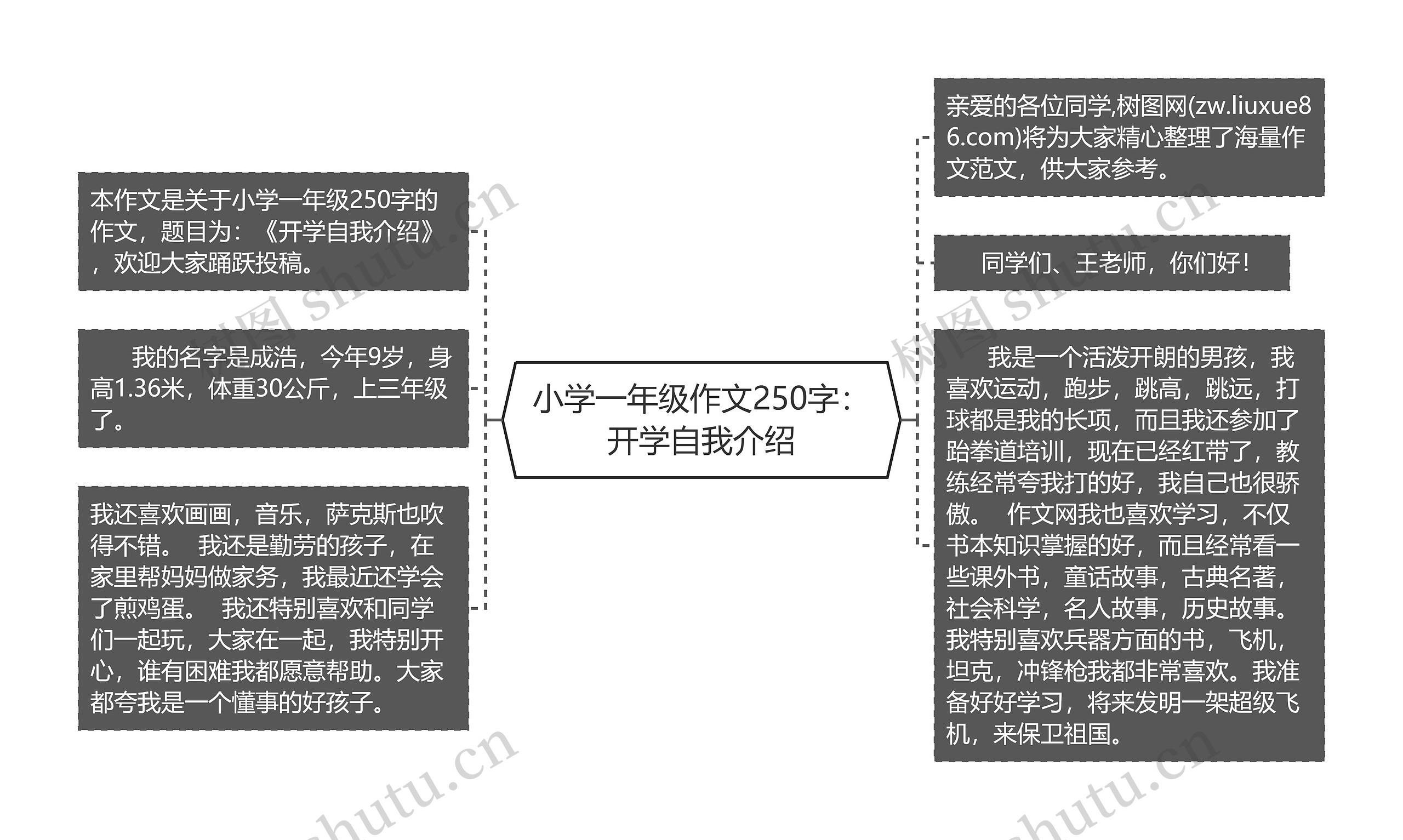 小学一年级作文250字：开学自我介绍