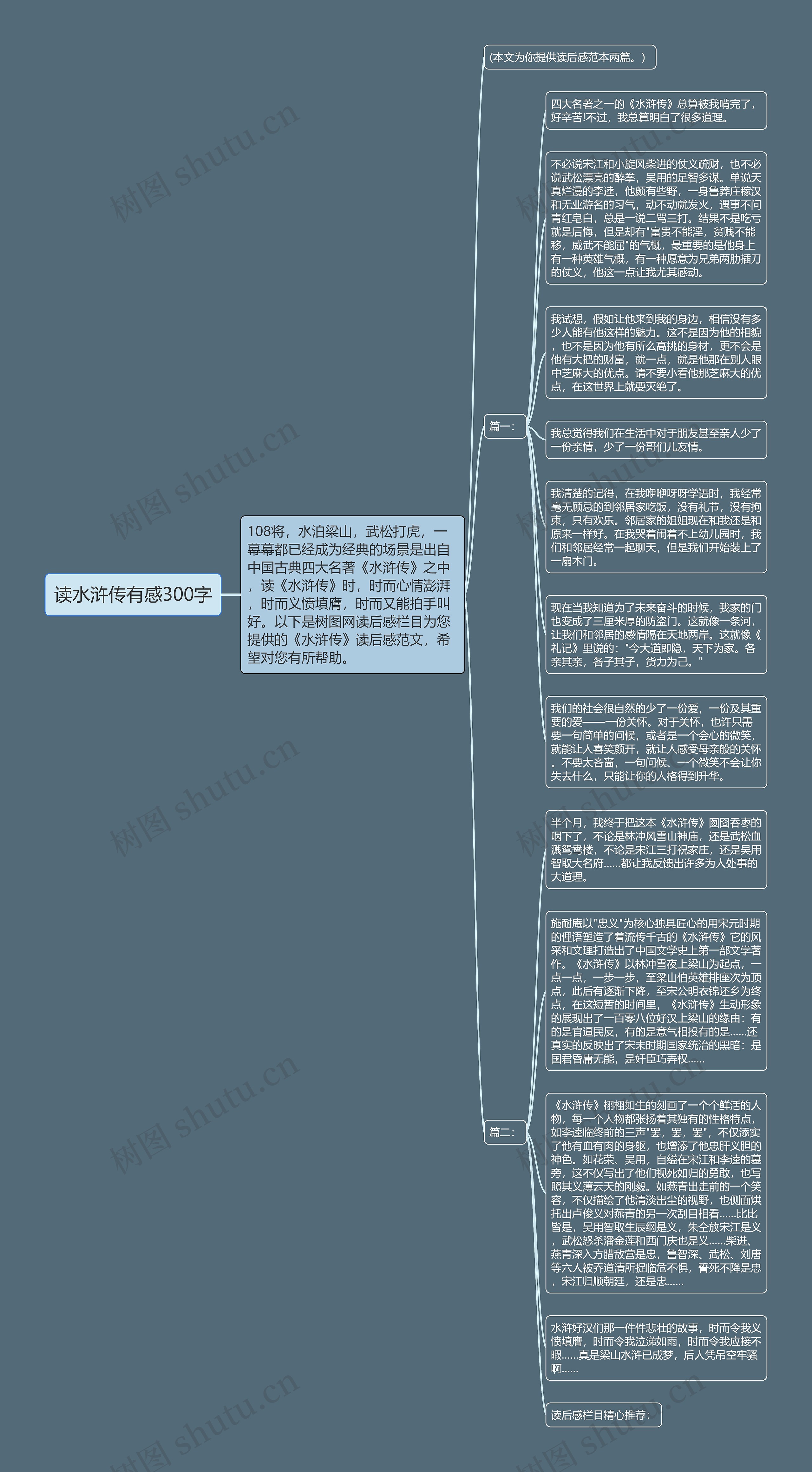 读水浒传有感300字