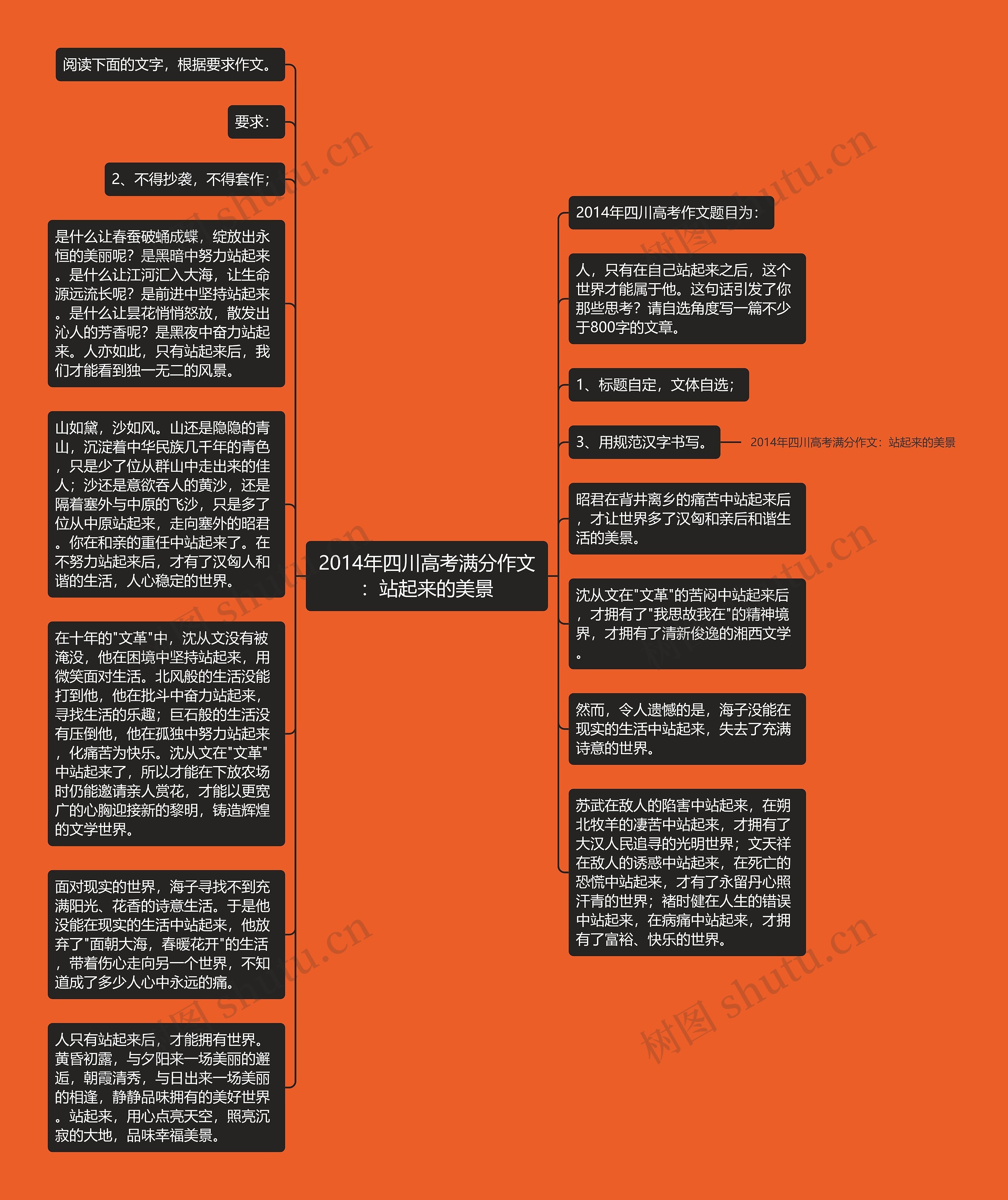 2014年四川高考满分作文：站起来的美景思维导图