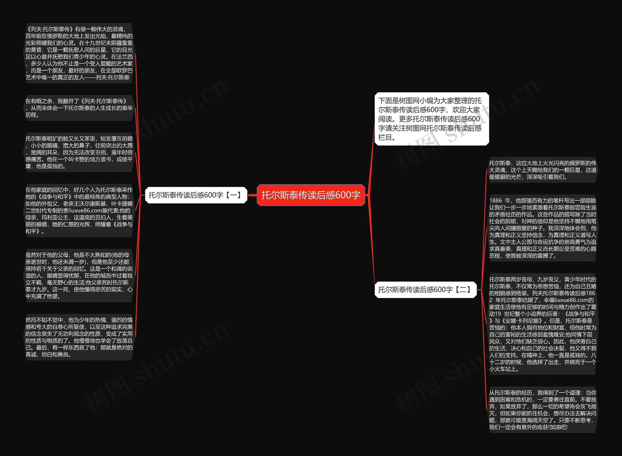 托尔斯泰传读后感600字思维导图