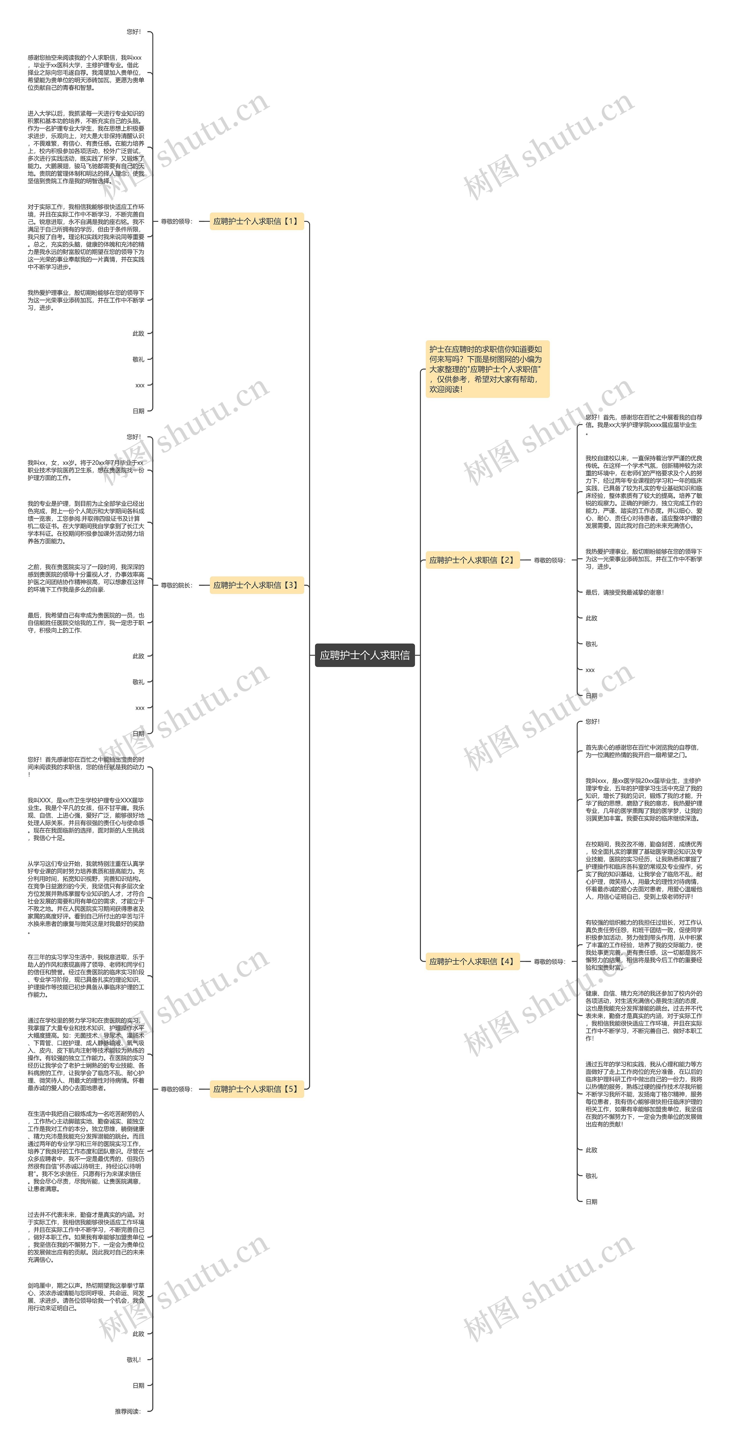 应聘护士个人求职信思维导图
