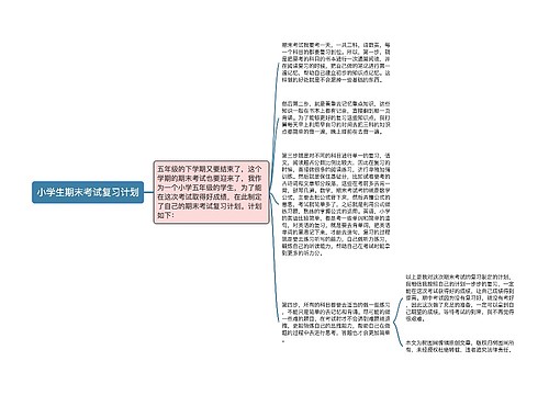 小学生期末考试复习计划