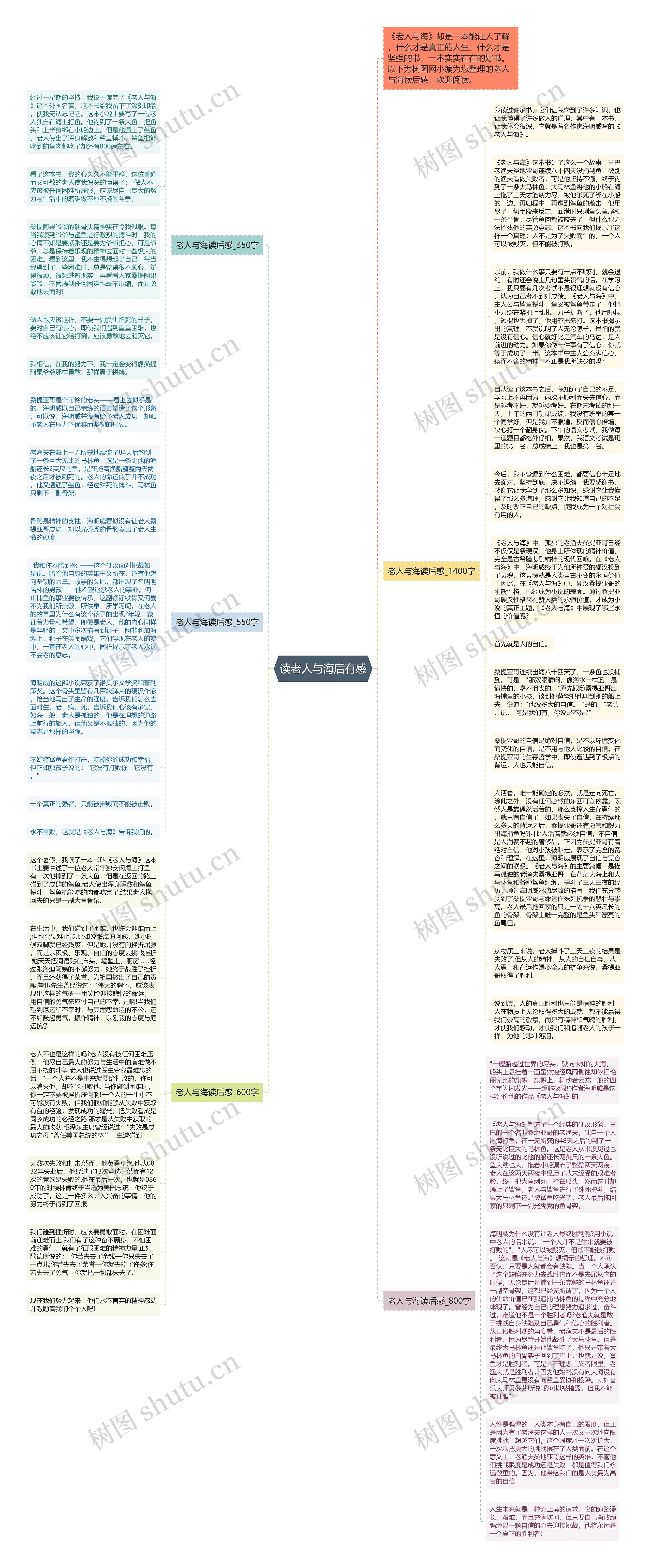 读老人与海后有感思维导图