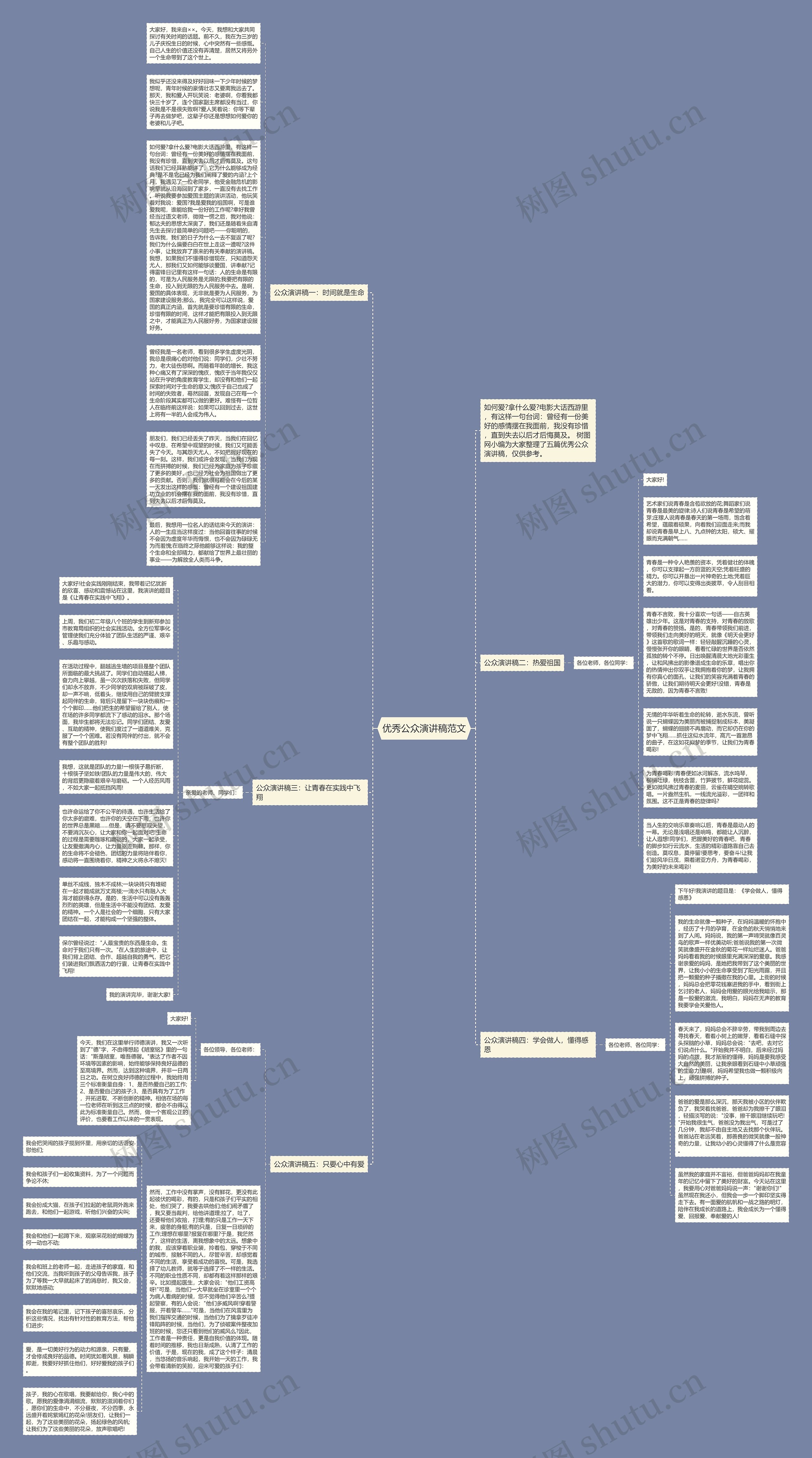 优秀公众演讲稿范文思维导图