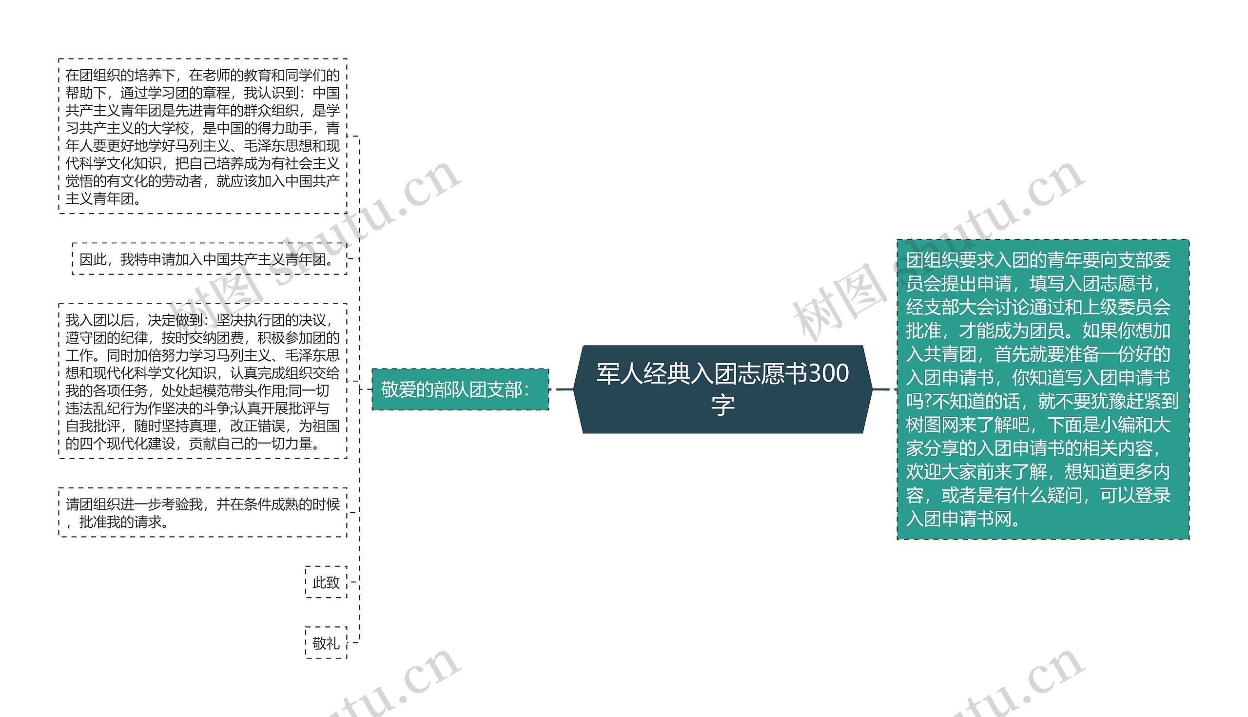 军人经典入团志愿书300字