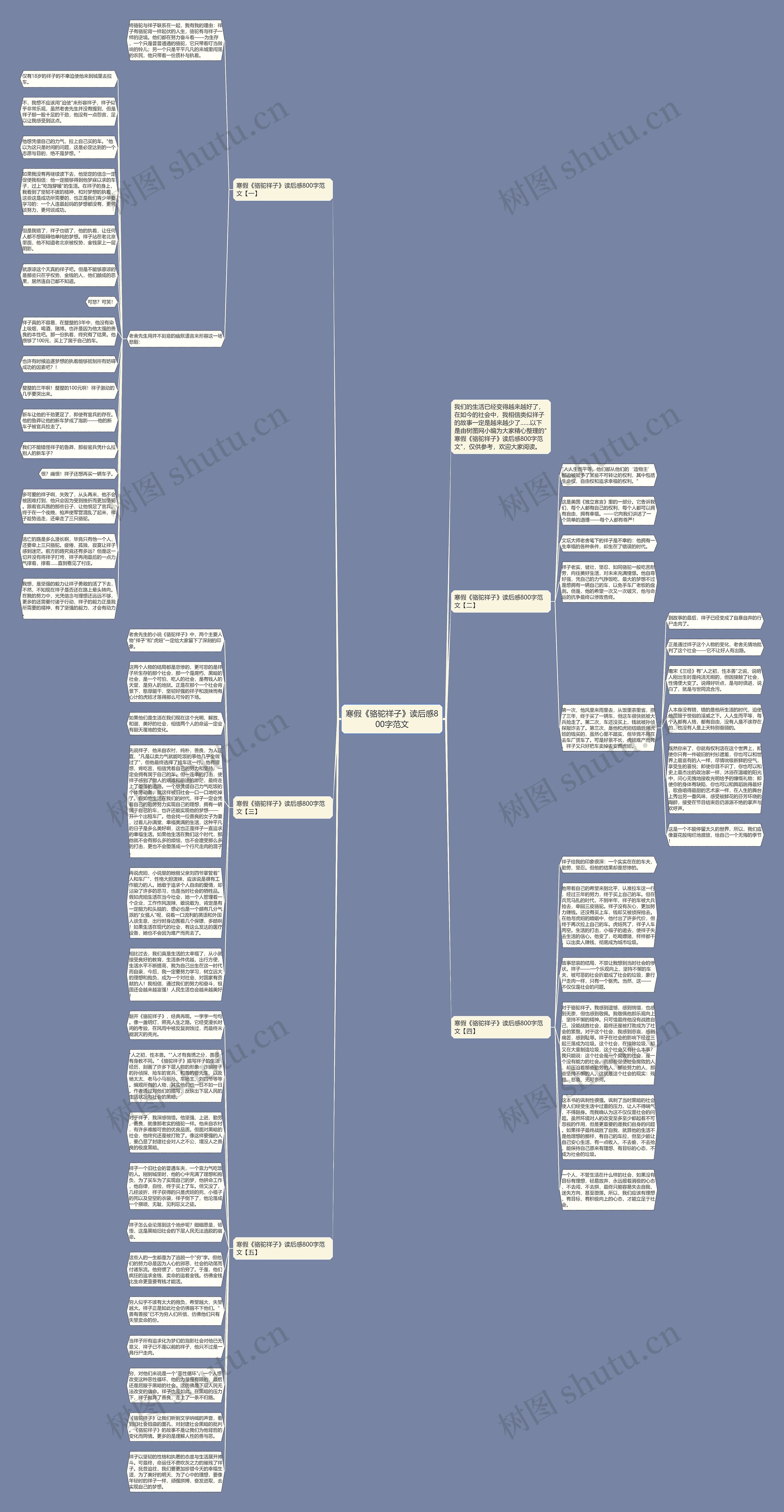 寒假《骆驼祥子》读后感800字范文思维导图
