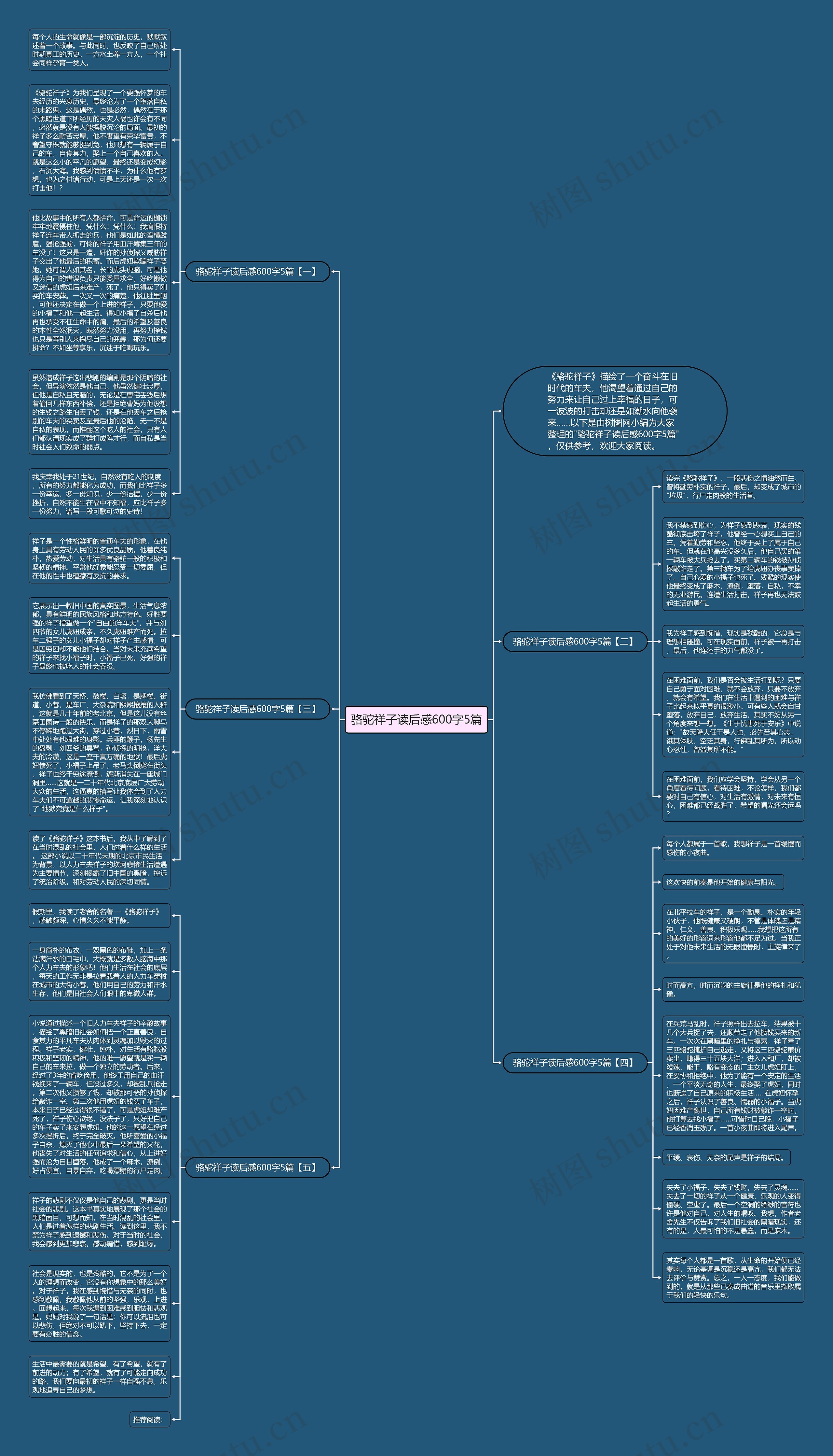 骆驼祥子读后感600字5篇思维导图